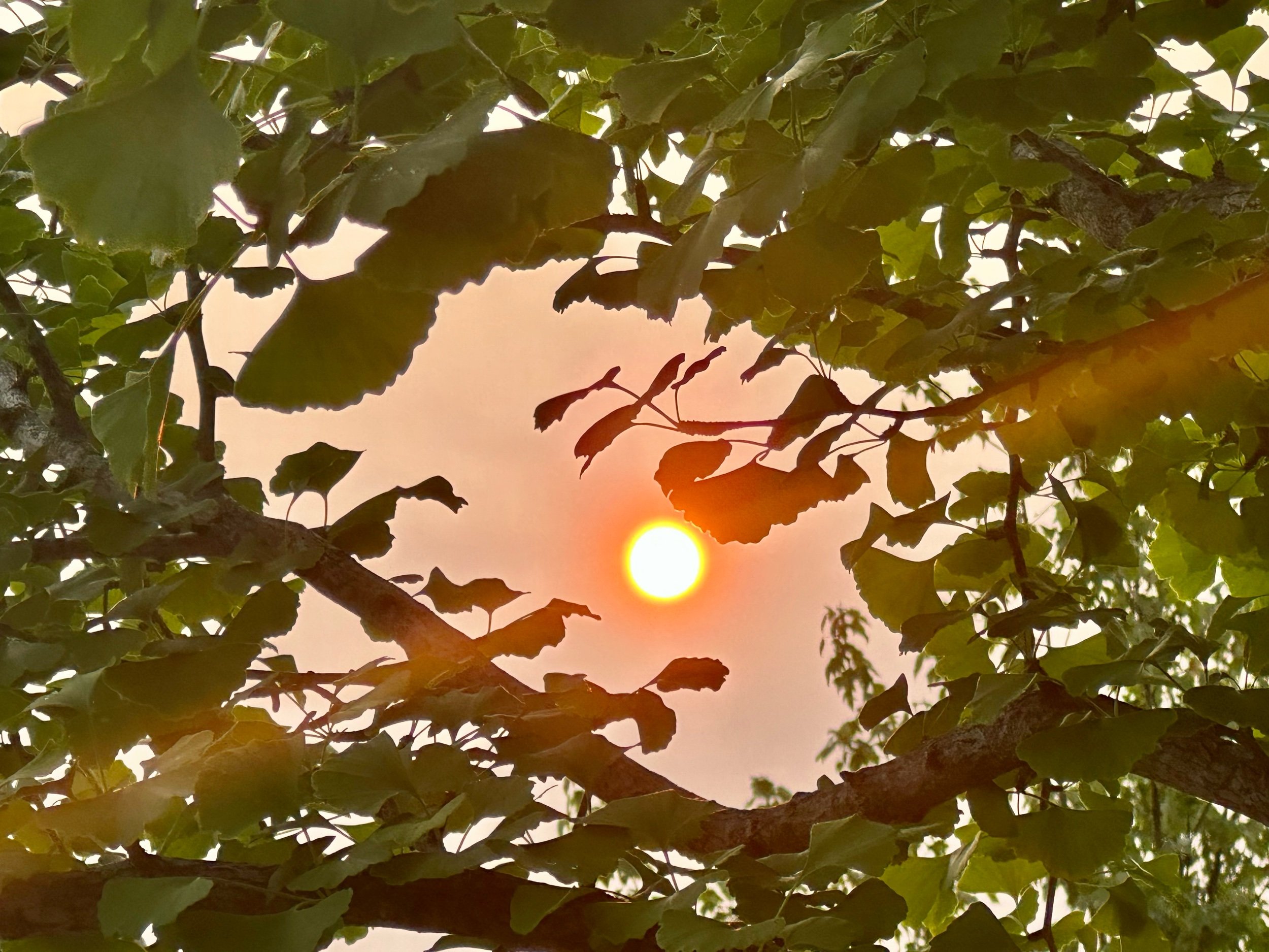 Here comes the sun…