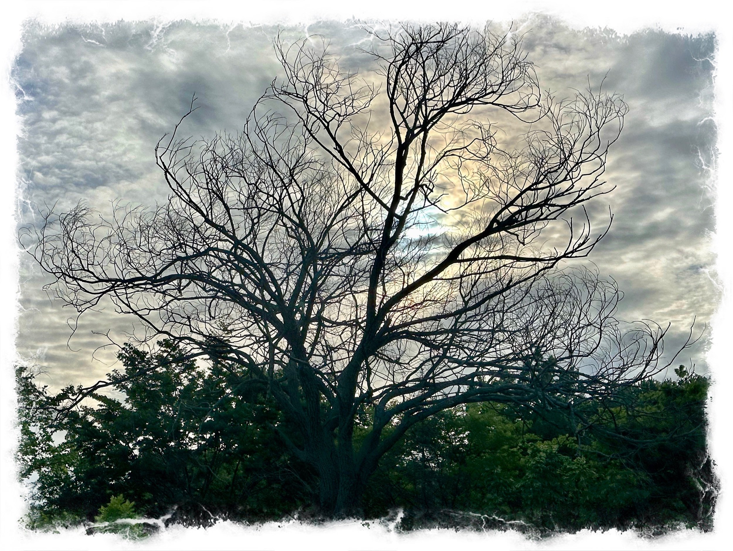 Buttermilk Sky