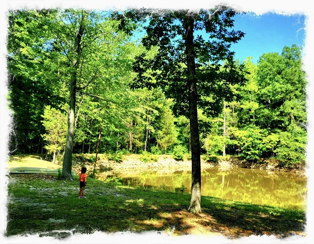 A Child’s View
