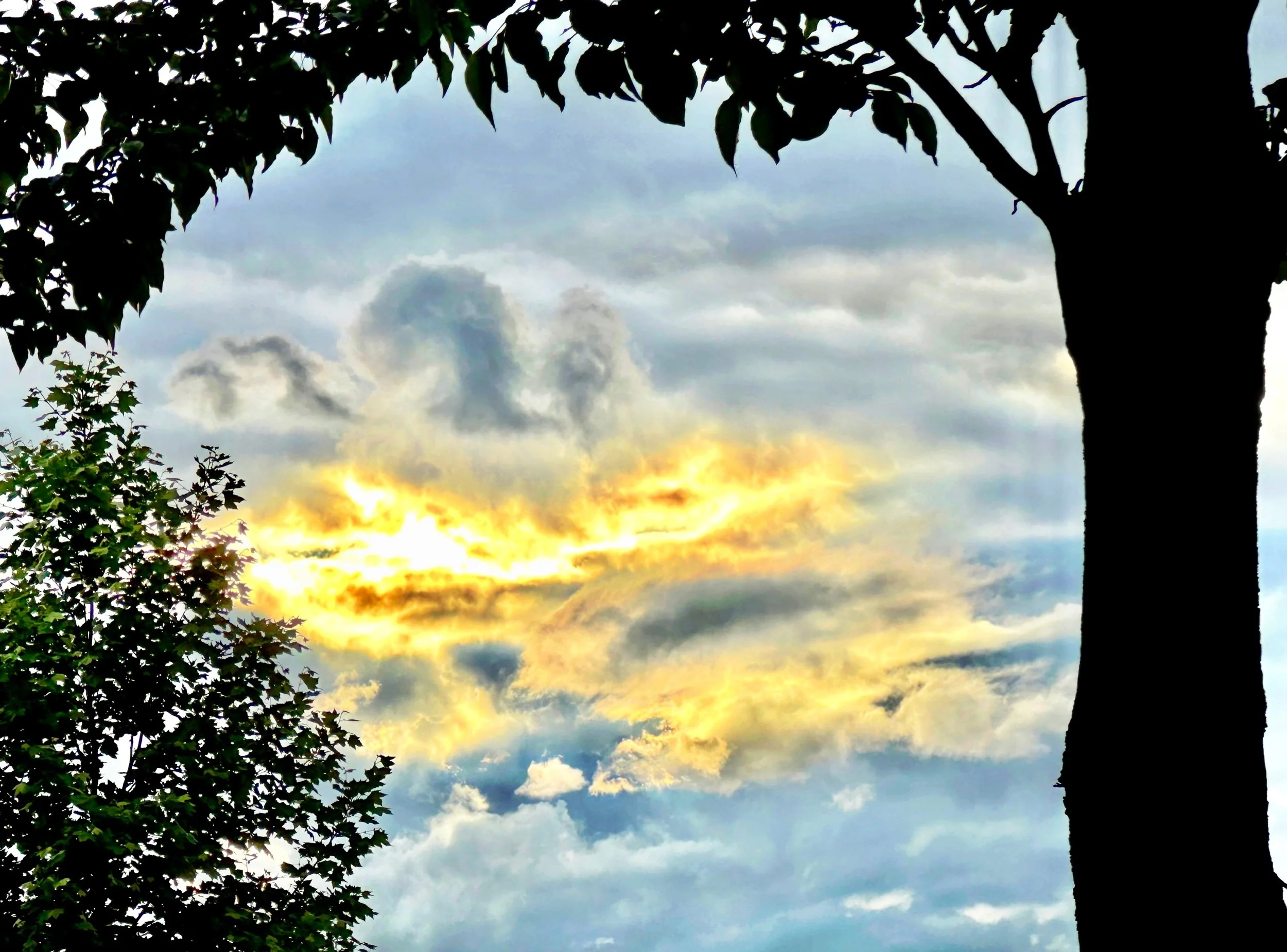 Share your Path- a poem