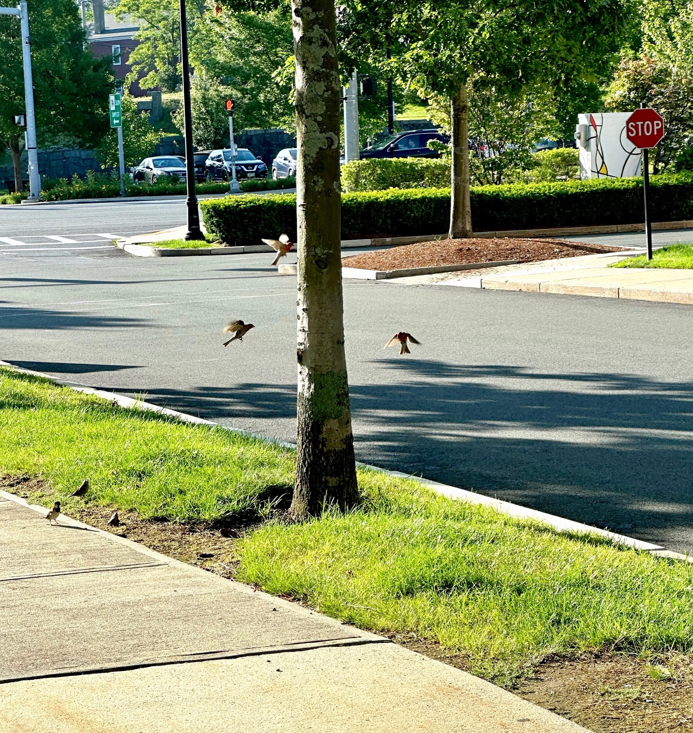 “Flight”