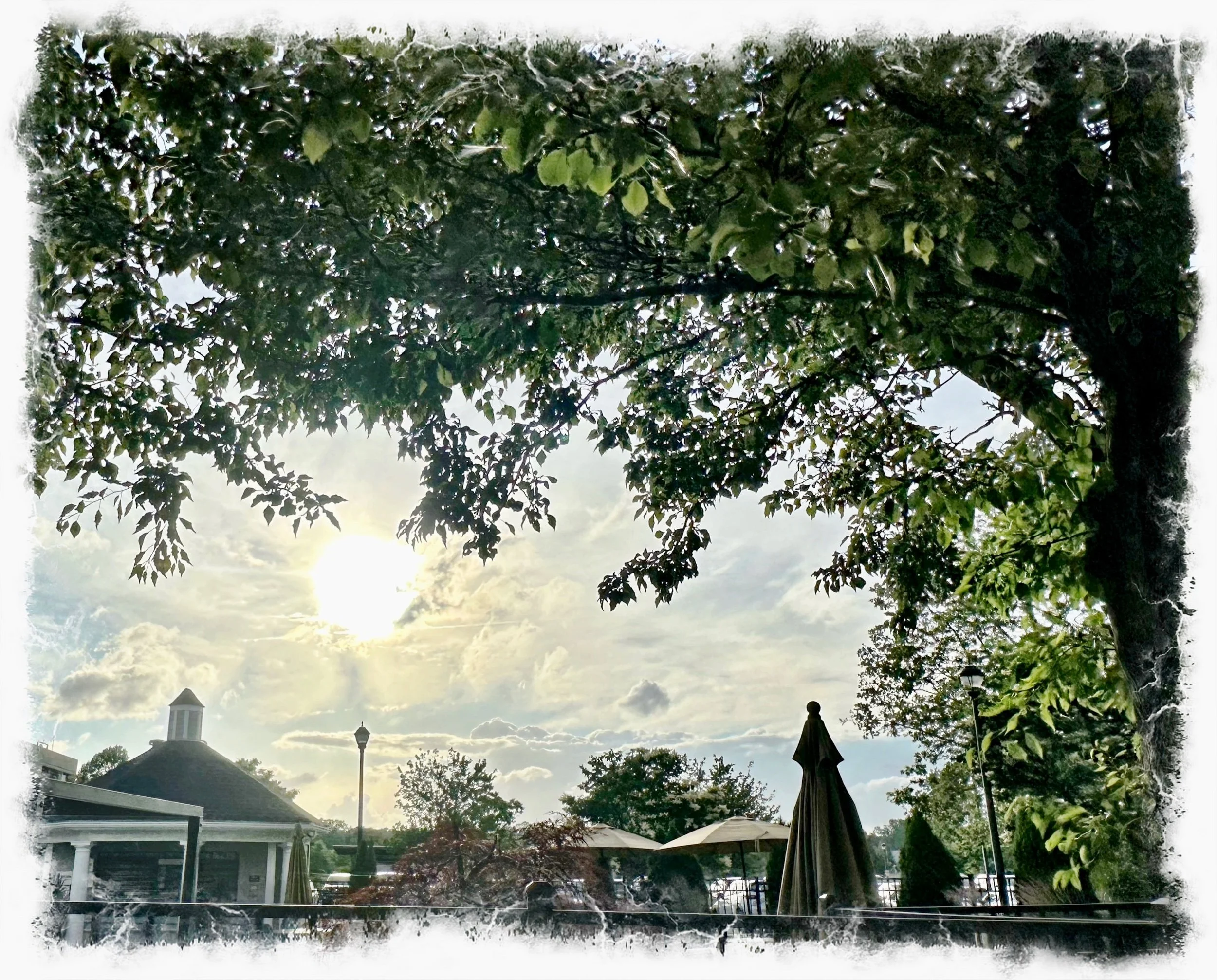 Beautiful Skies
