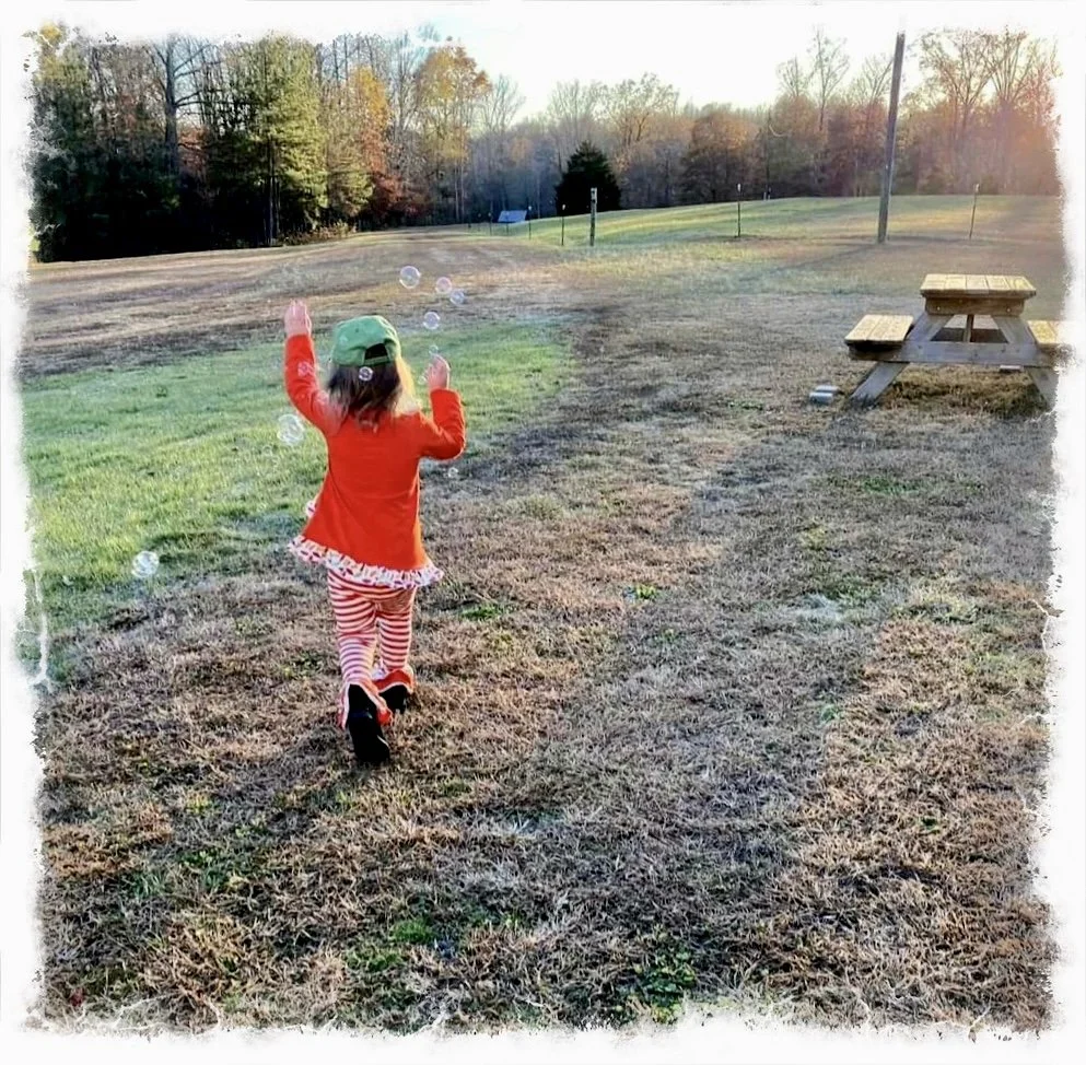 A child’s View