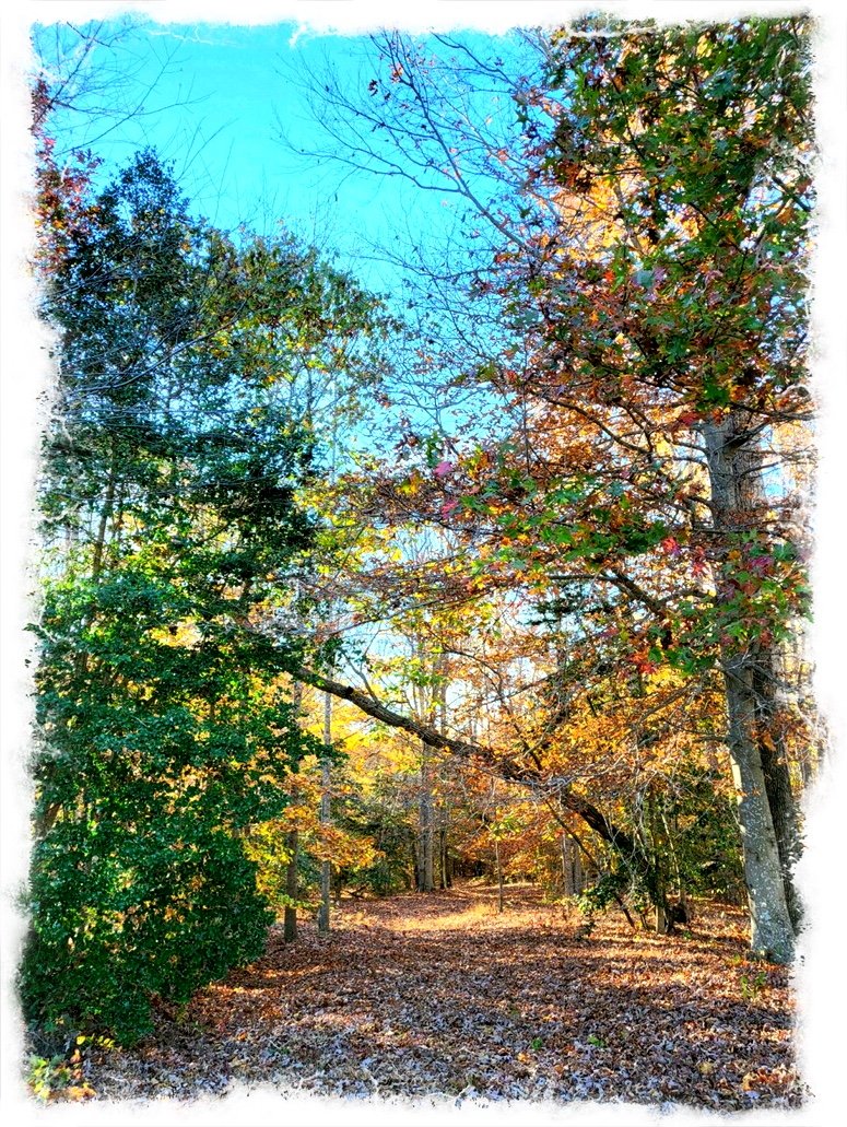 Path of Seasons