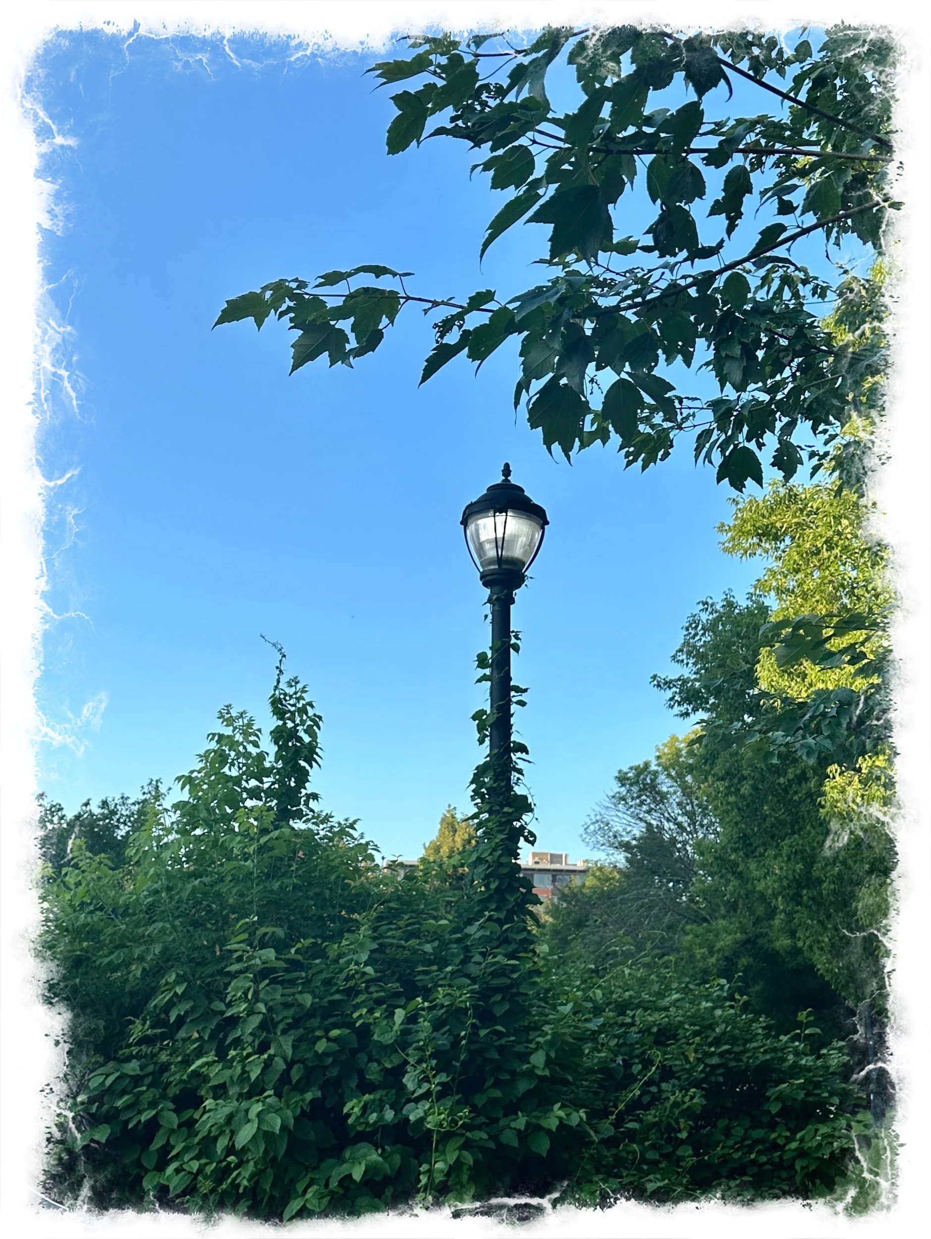On a clear Day…