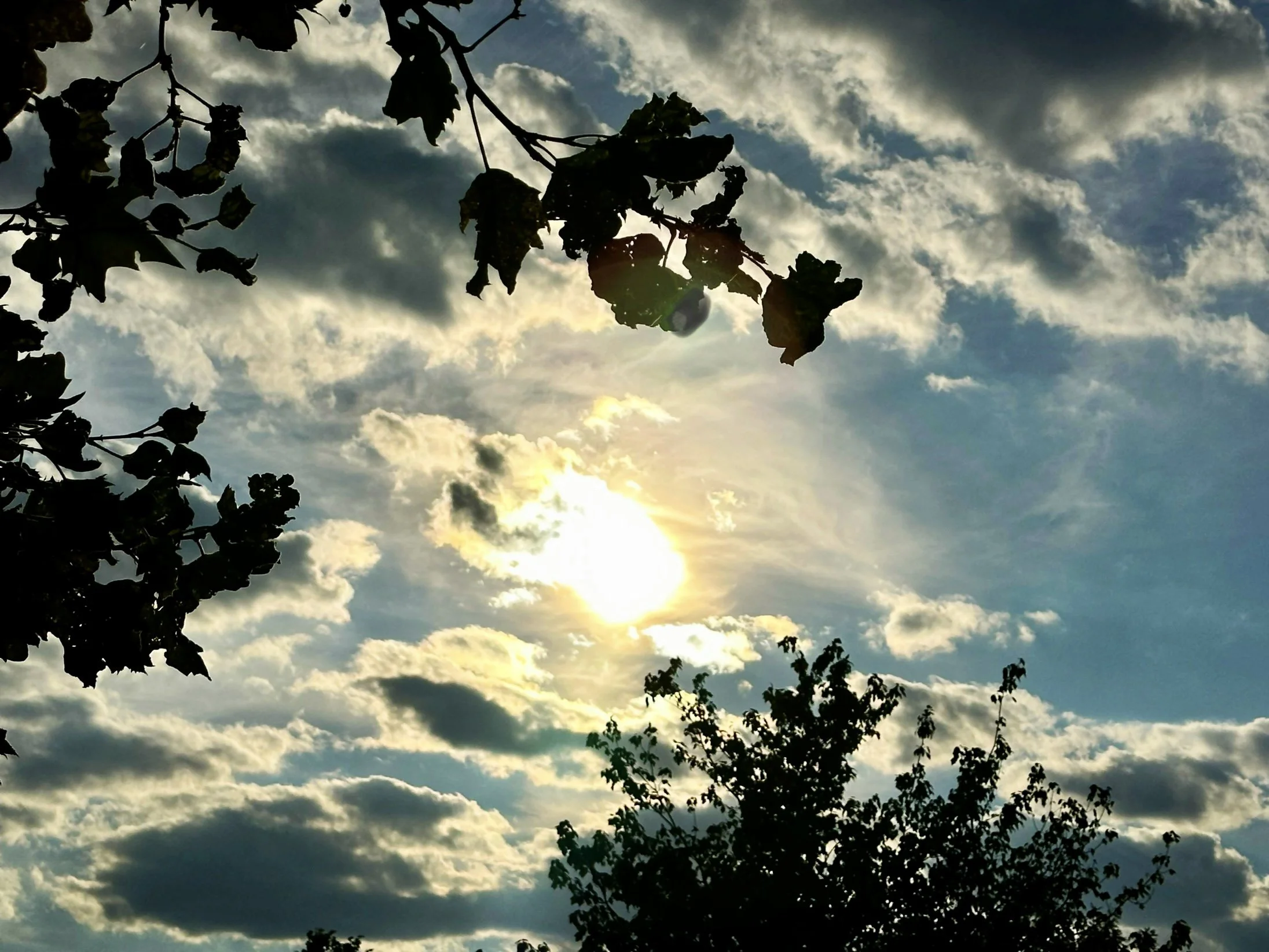 Embrace the Day