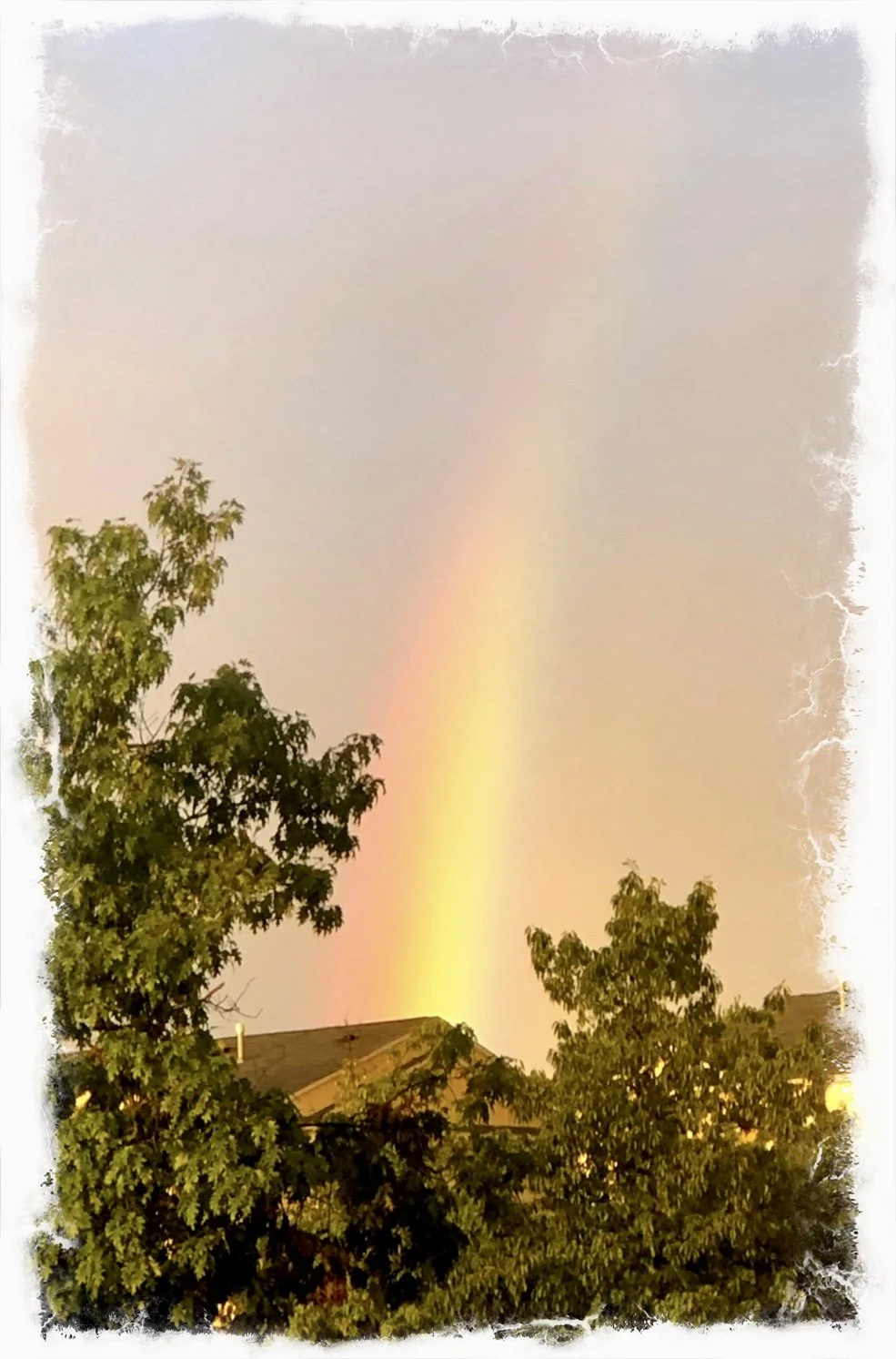 Rainbow’s Promise