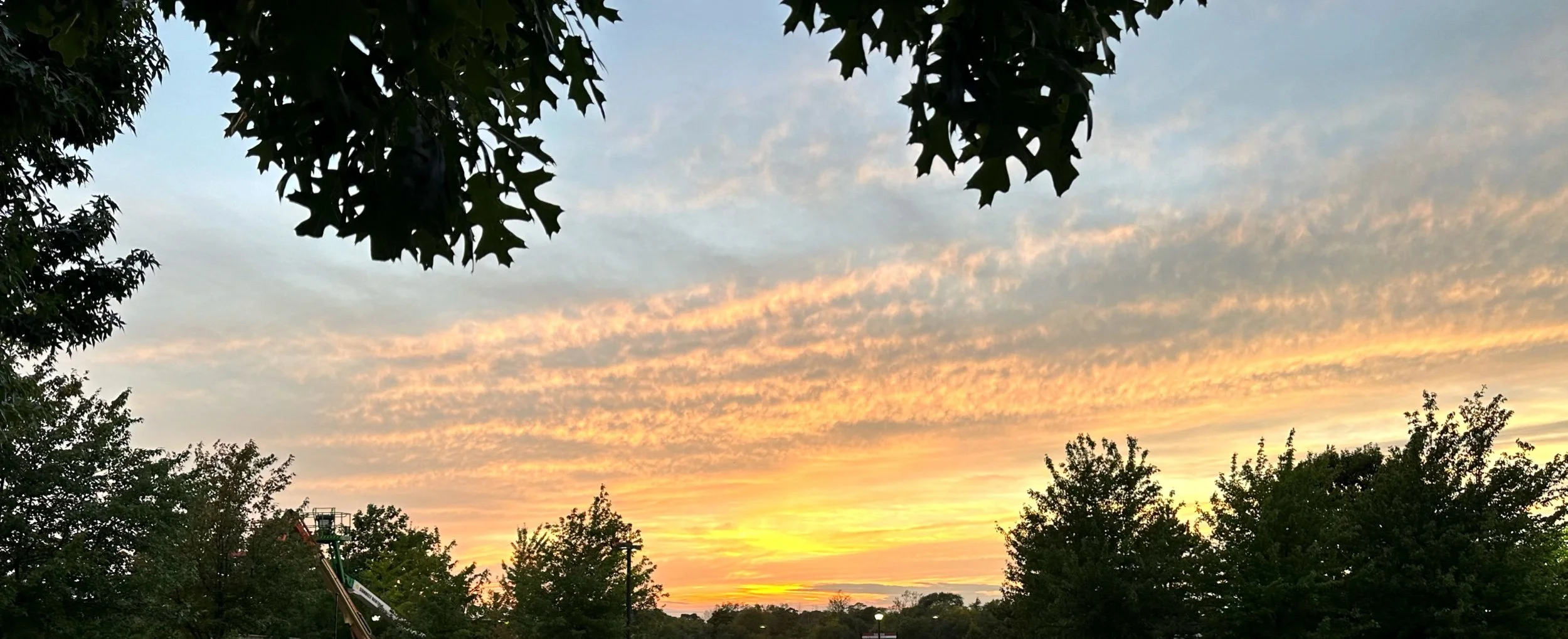 Betsy’s View
