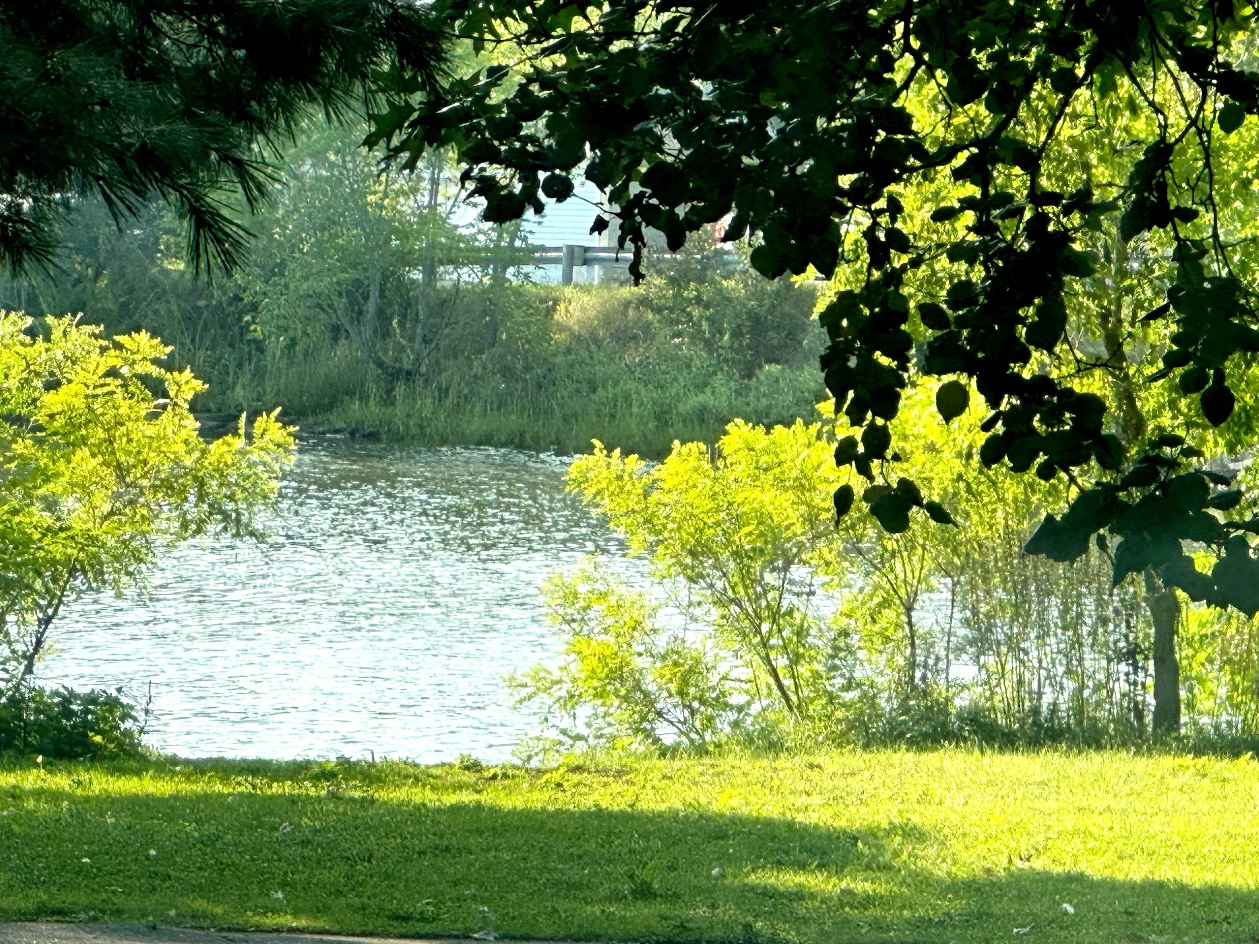 Take it all In