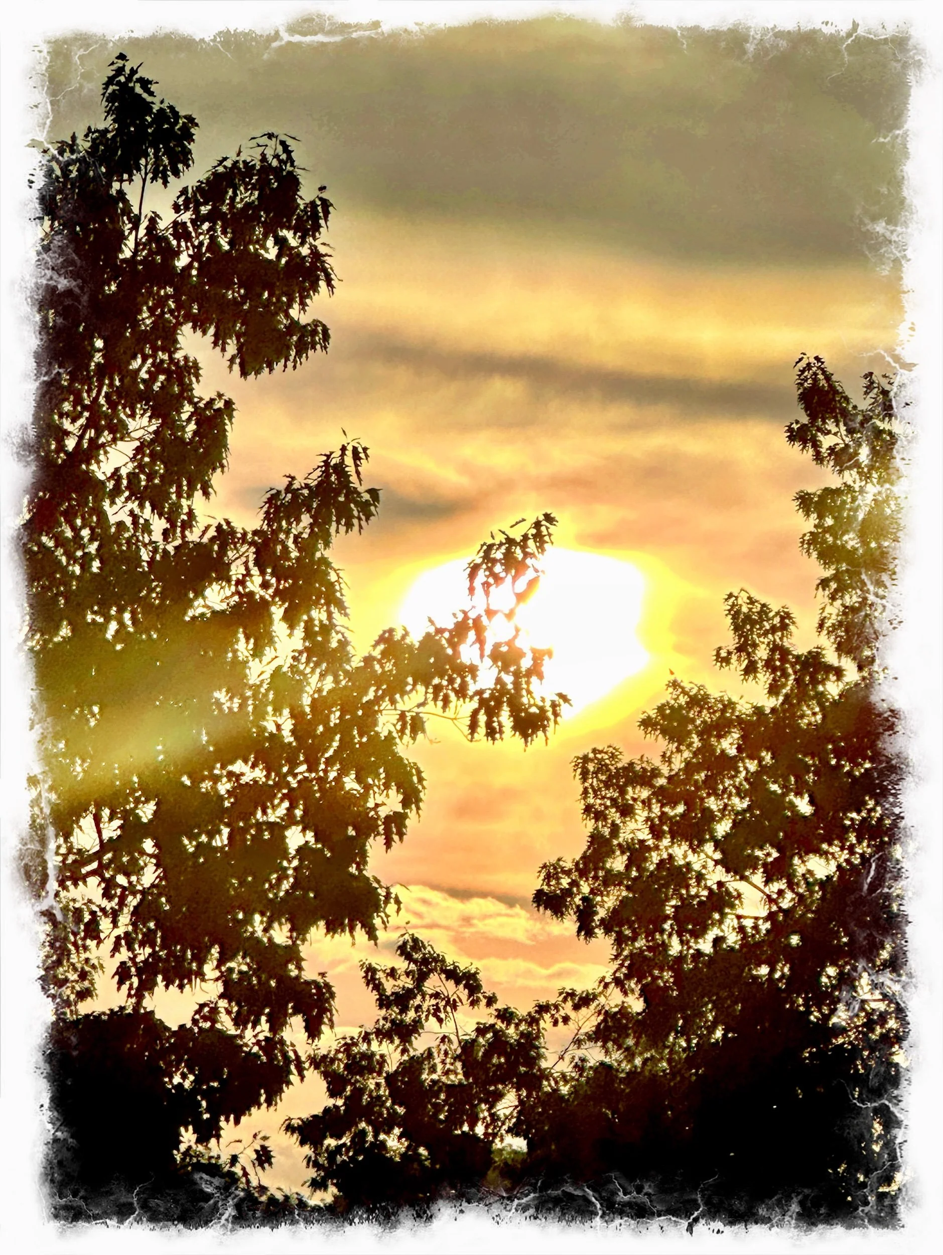 Each day Anew
