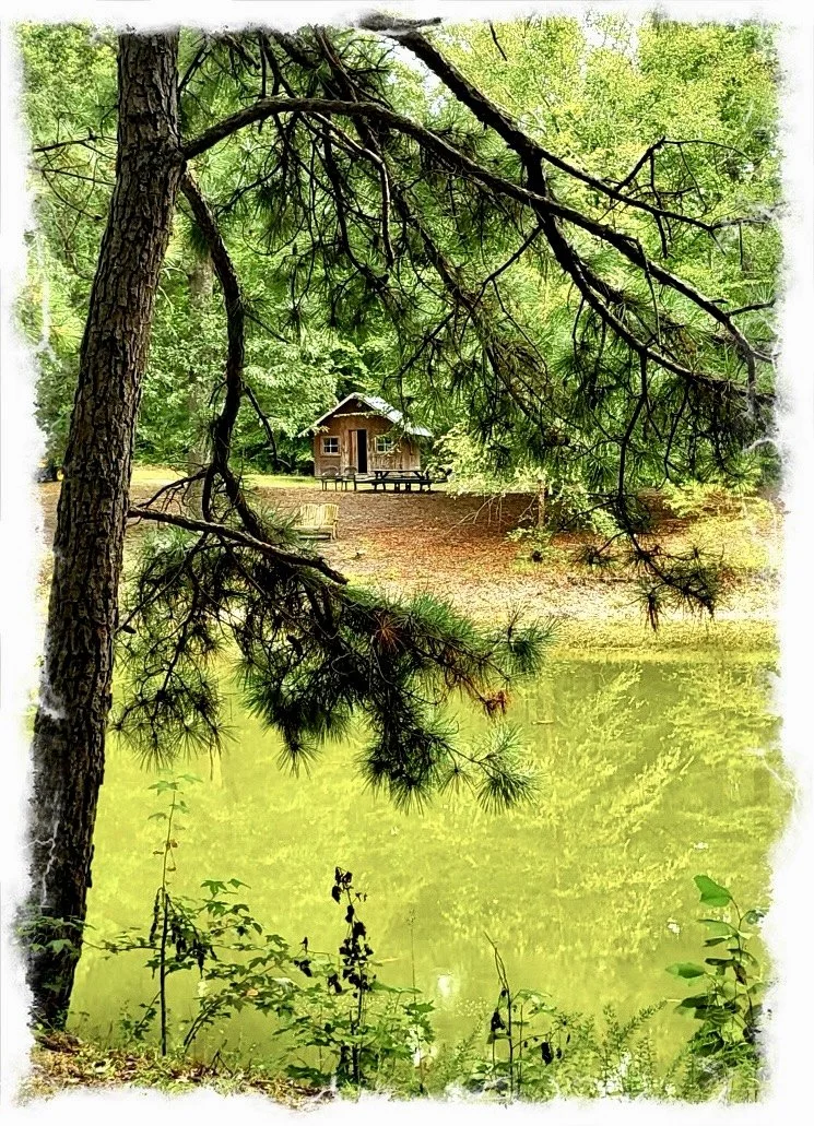 Peaceful Oasis