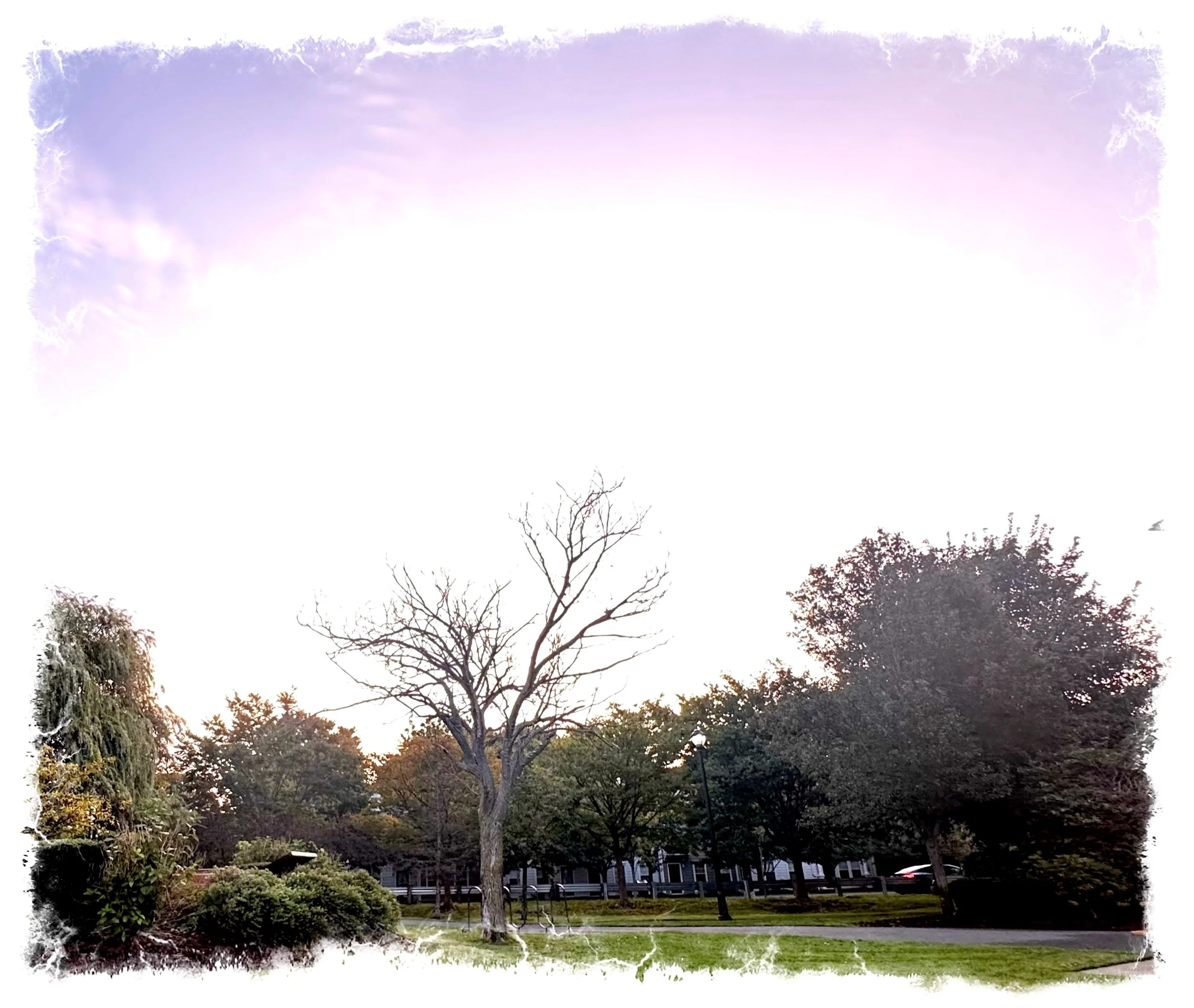Breathe &amp; Rejoice