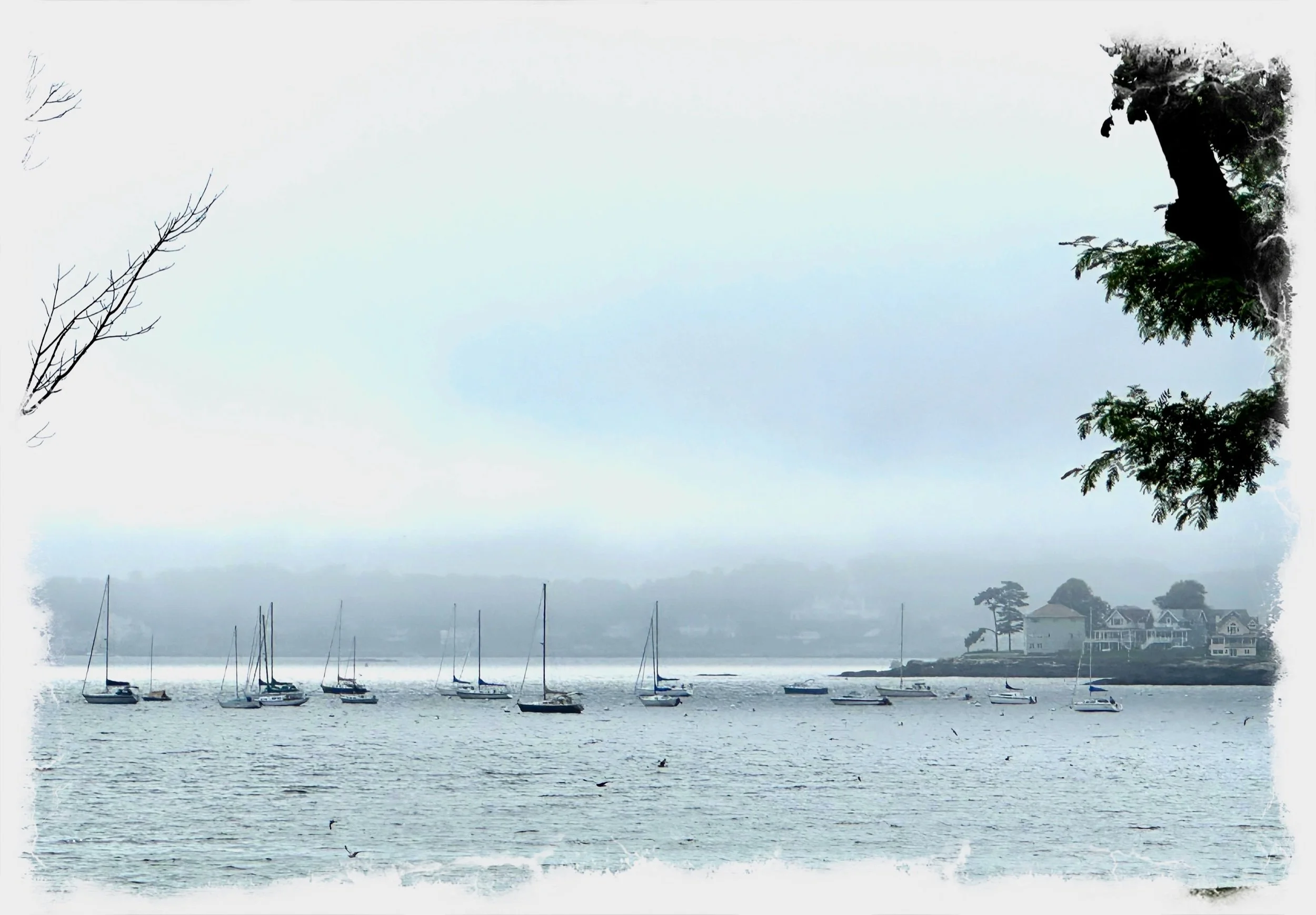Fog in New England