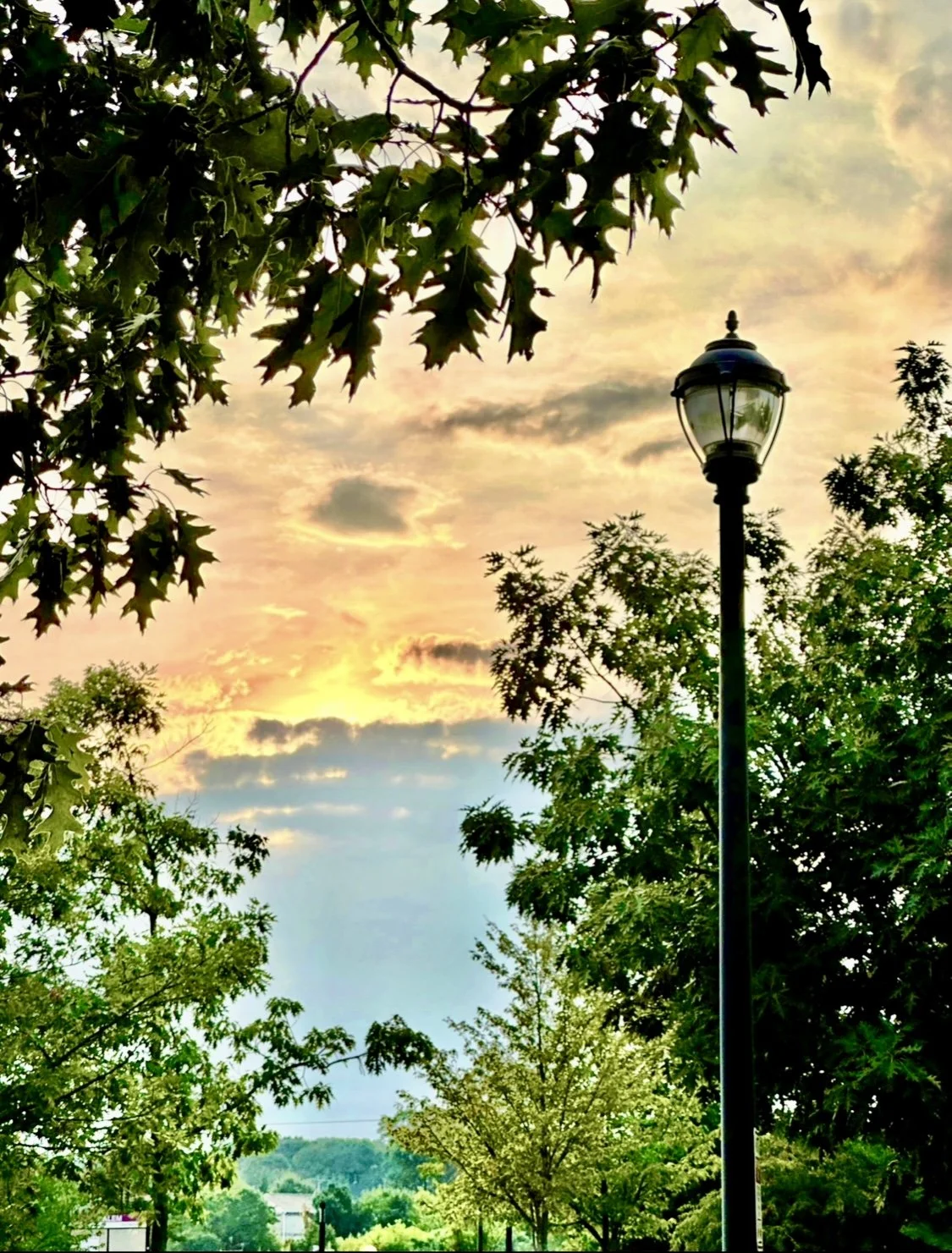 The “Wonderer”- a poem
