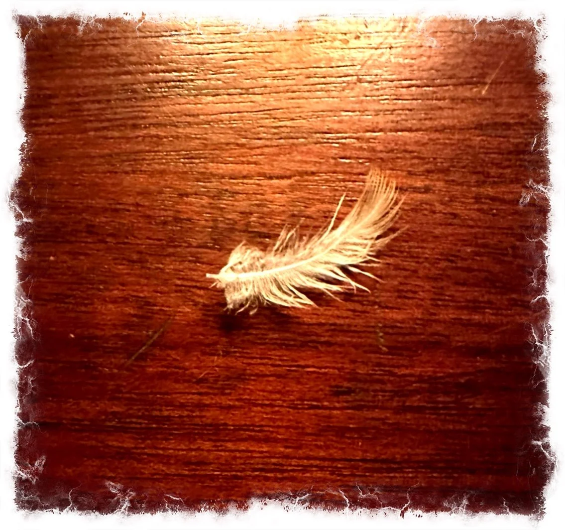 Spread your Wings- a poem