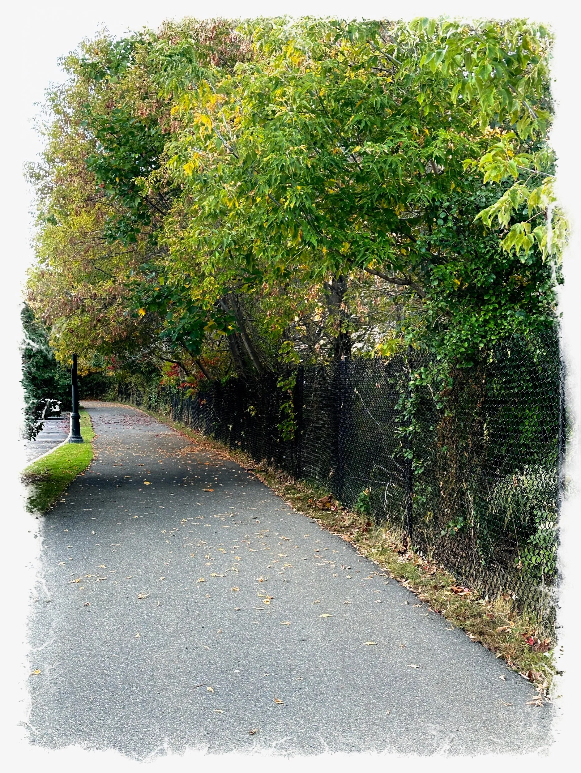 Our morning Walk