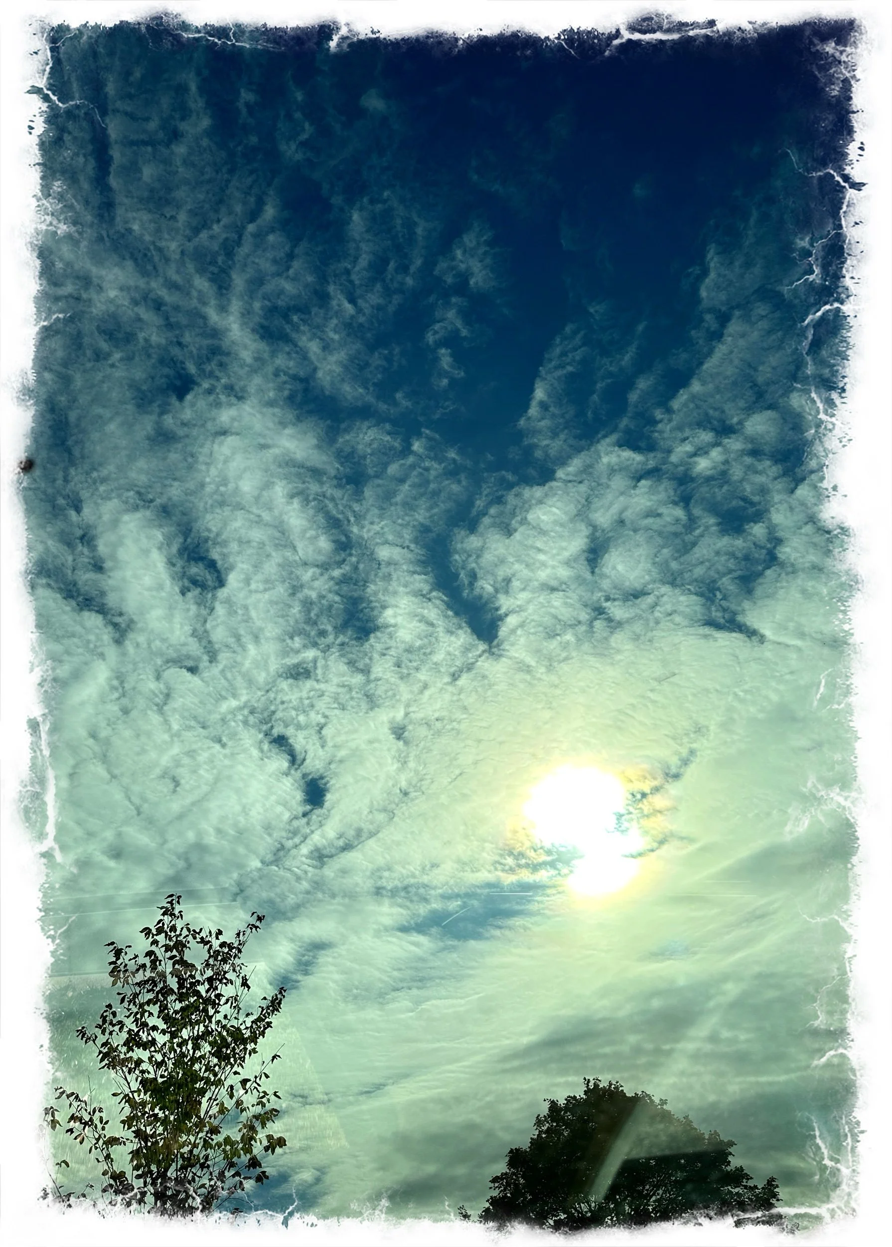 Nature’s Wonders