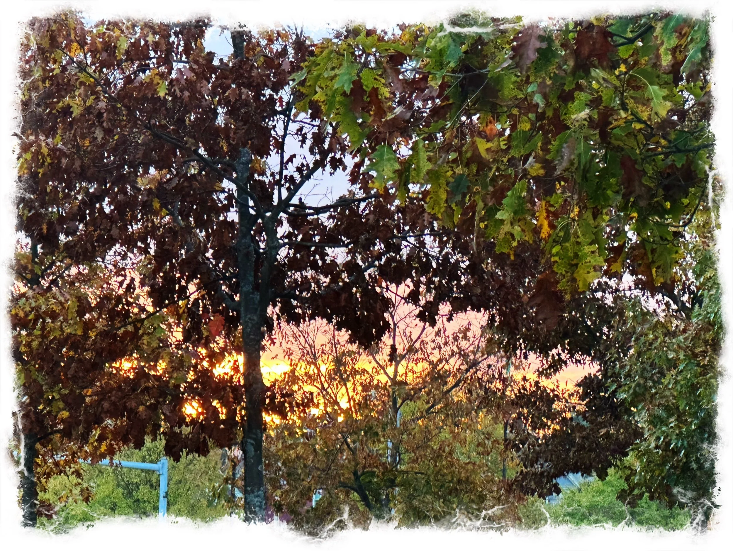 Sunrise…a poem