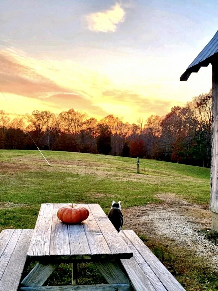 Beauty in Virginia
