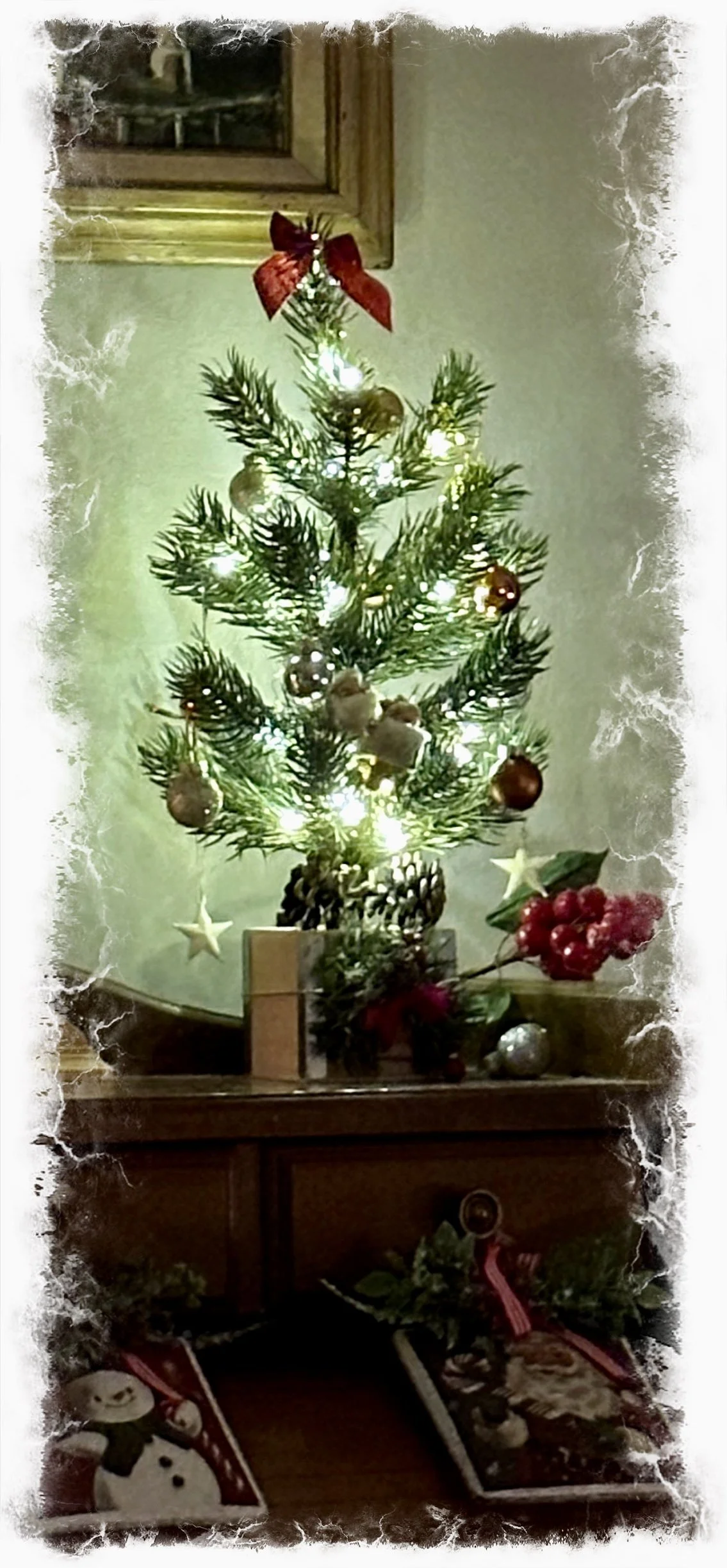 Moma’s Tree