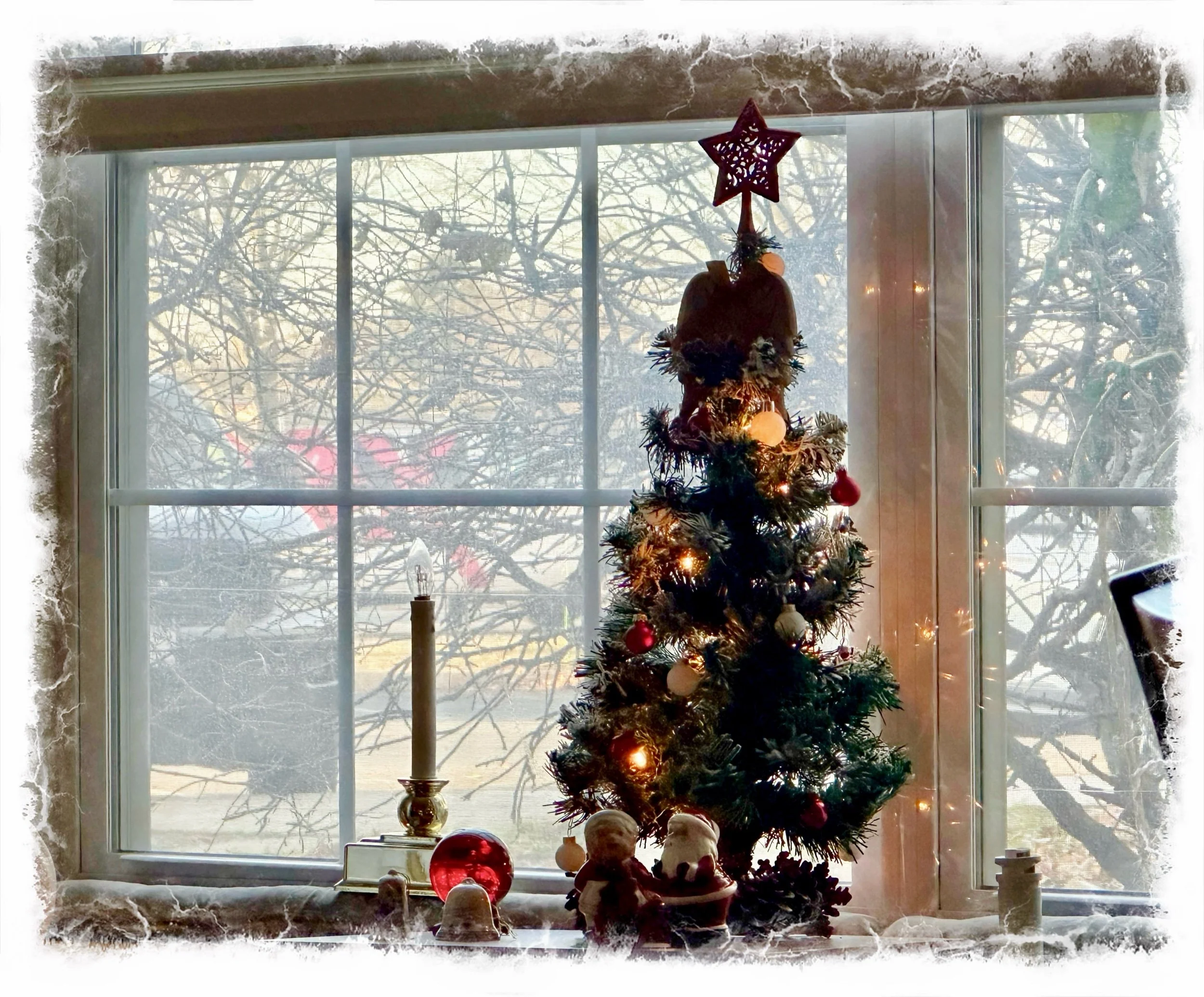  John’s Classic Tree 