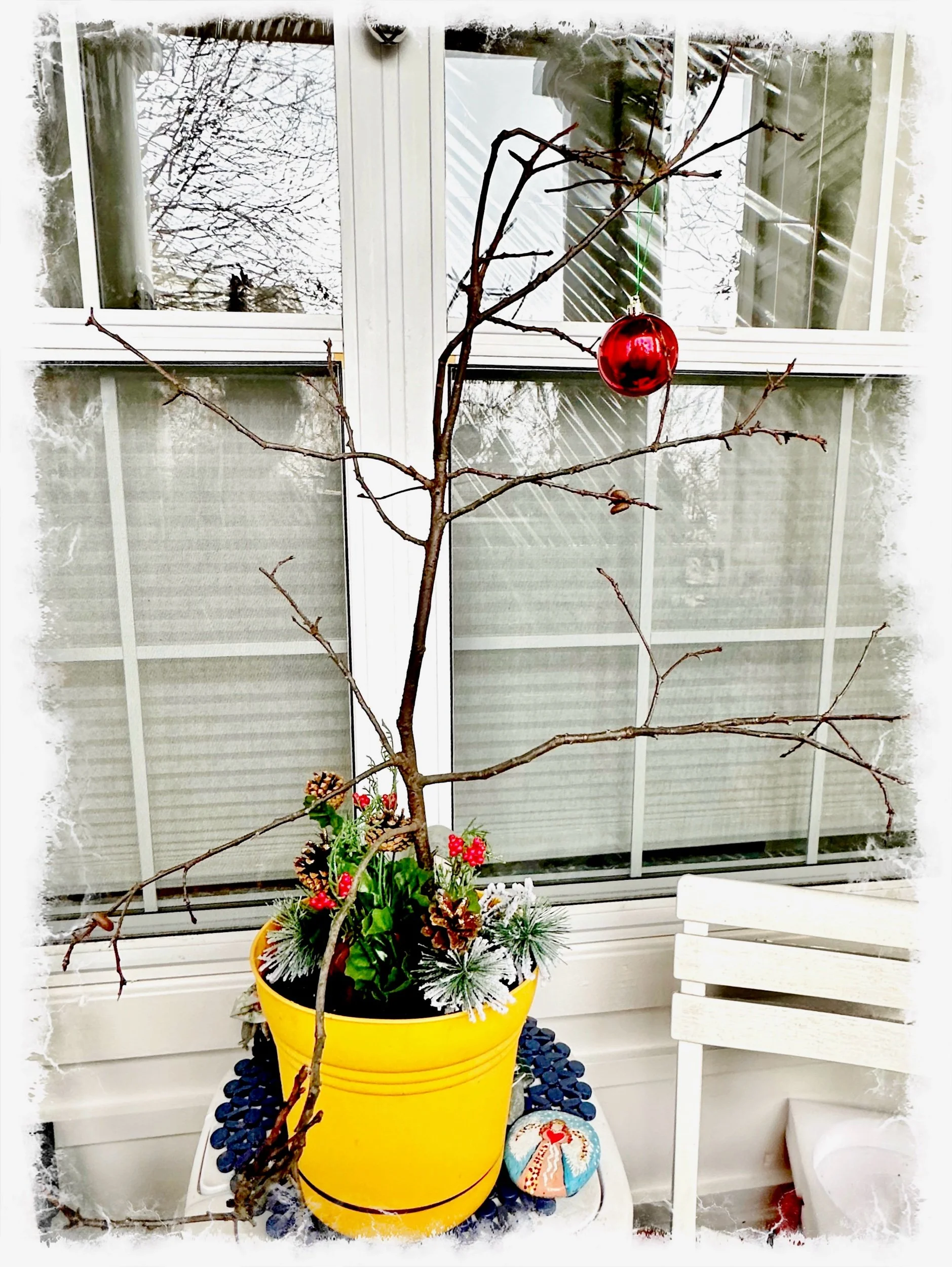 Walter’s Charlie Brown tree