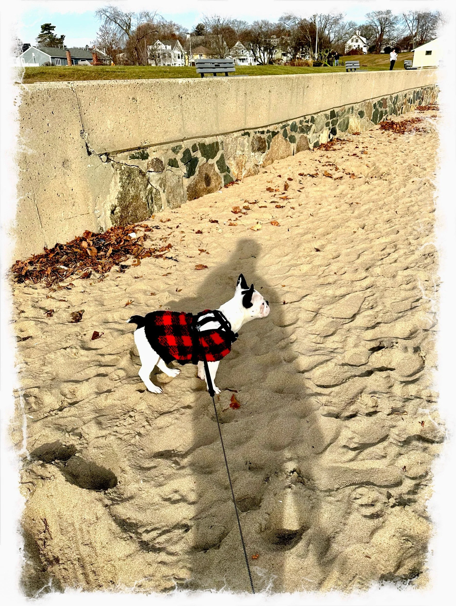Walter’s fist beach Walk