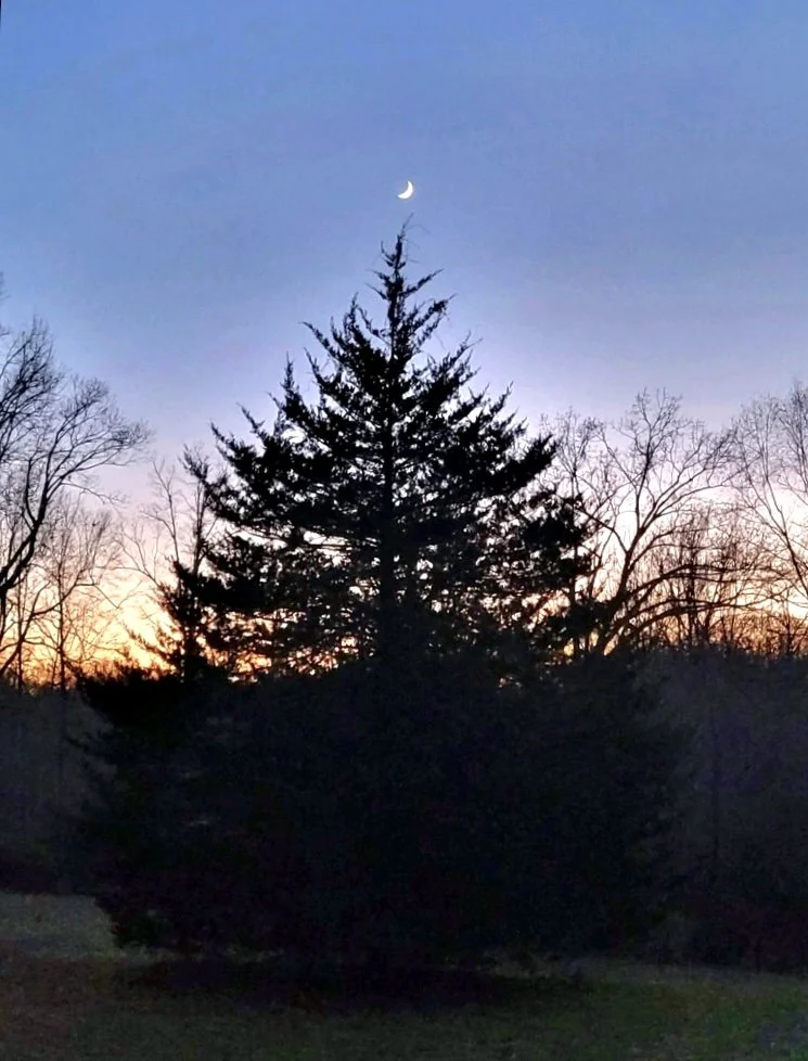 Waxing Moon