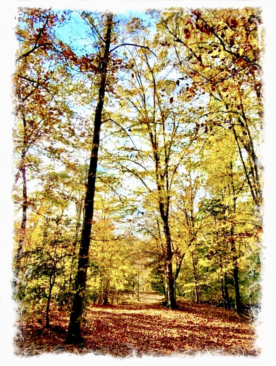 Stepping Stones- a poem