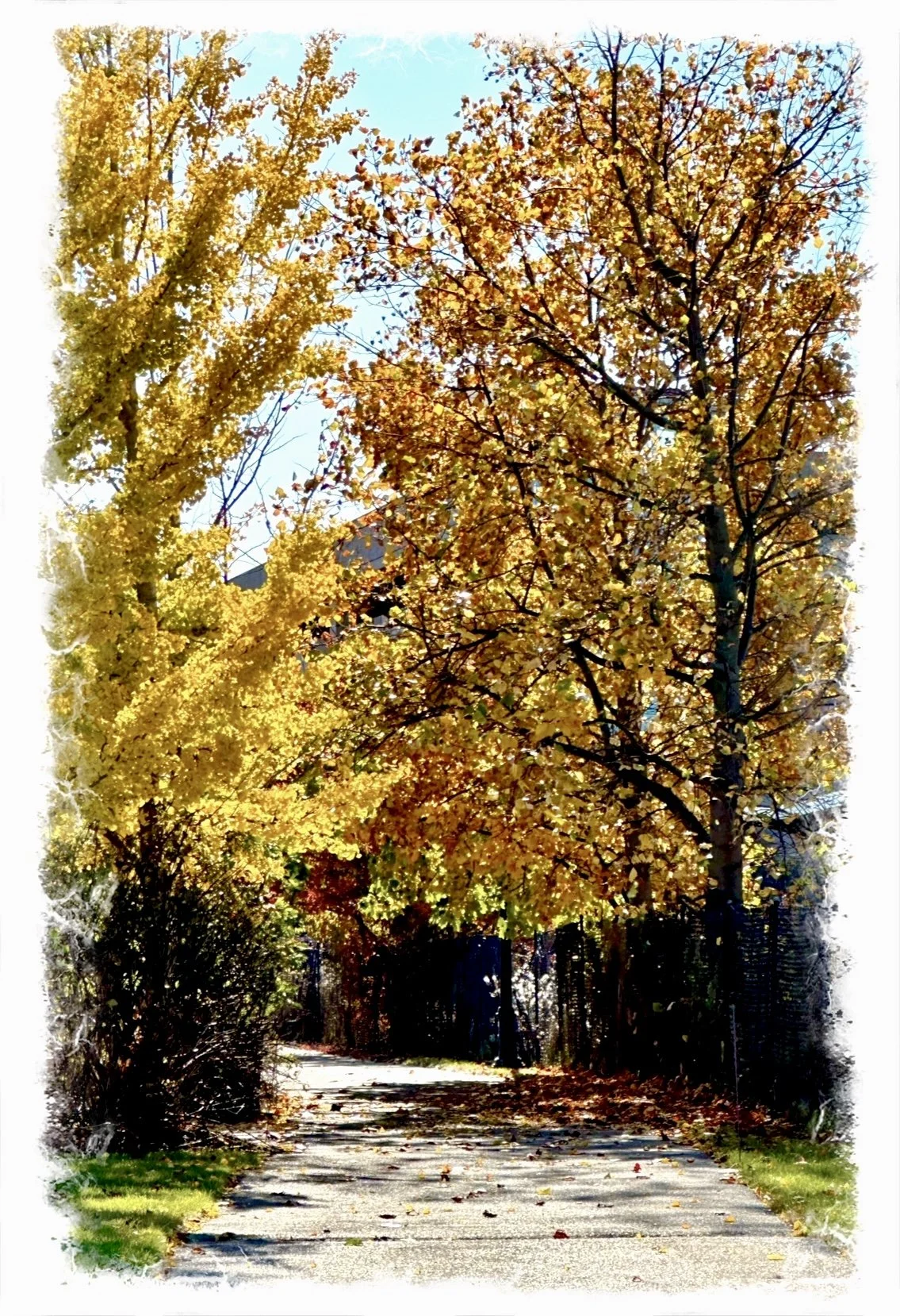 Round the Hill- a poem