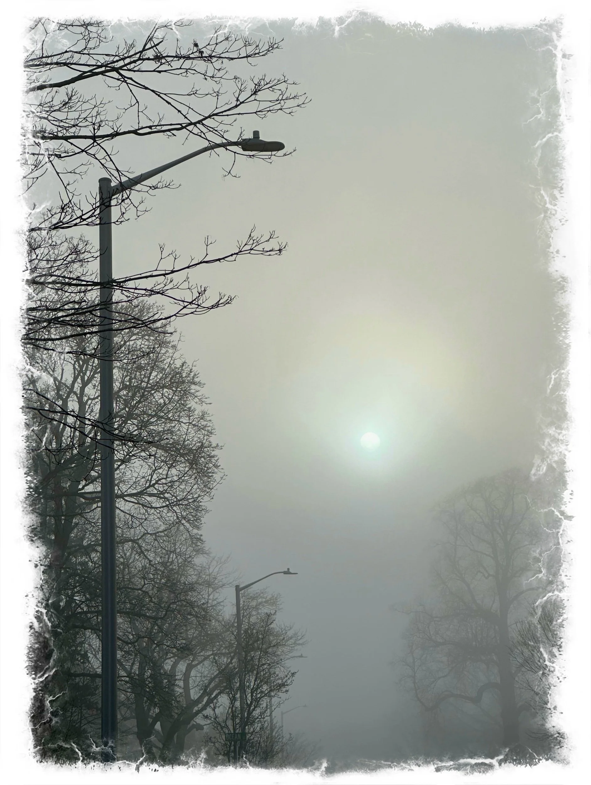 A day of Fog…