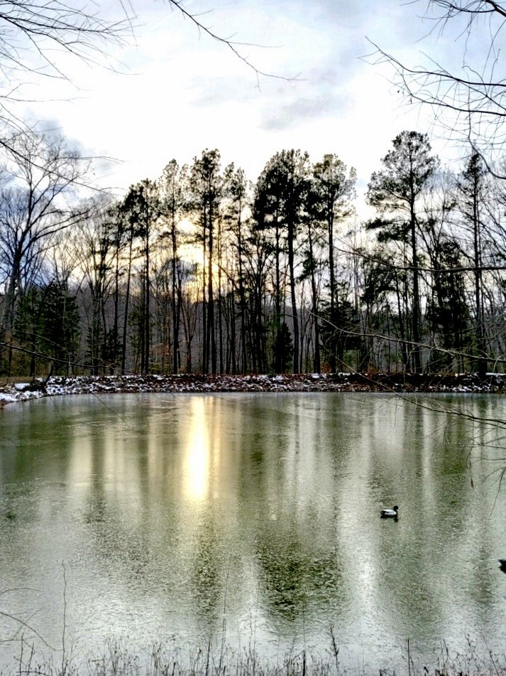 Reflections of Life- a poem
