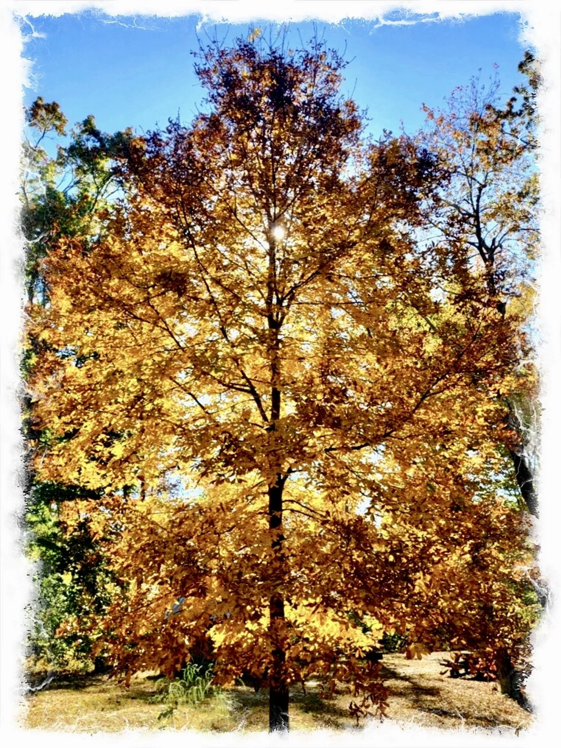 Hello God- what is life? 