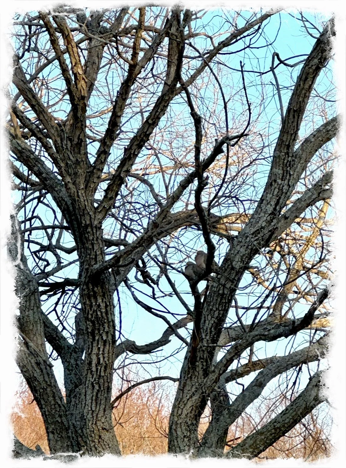 Remember Today- a poem