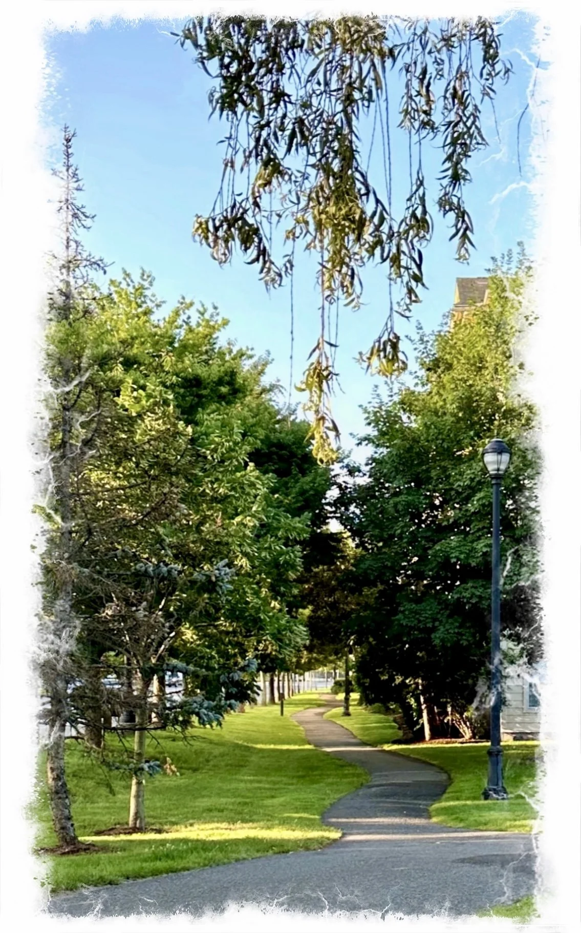 In your Mind- a poem