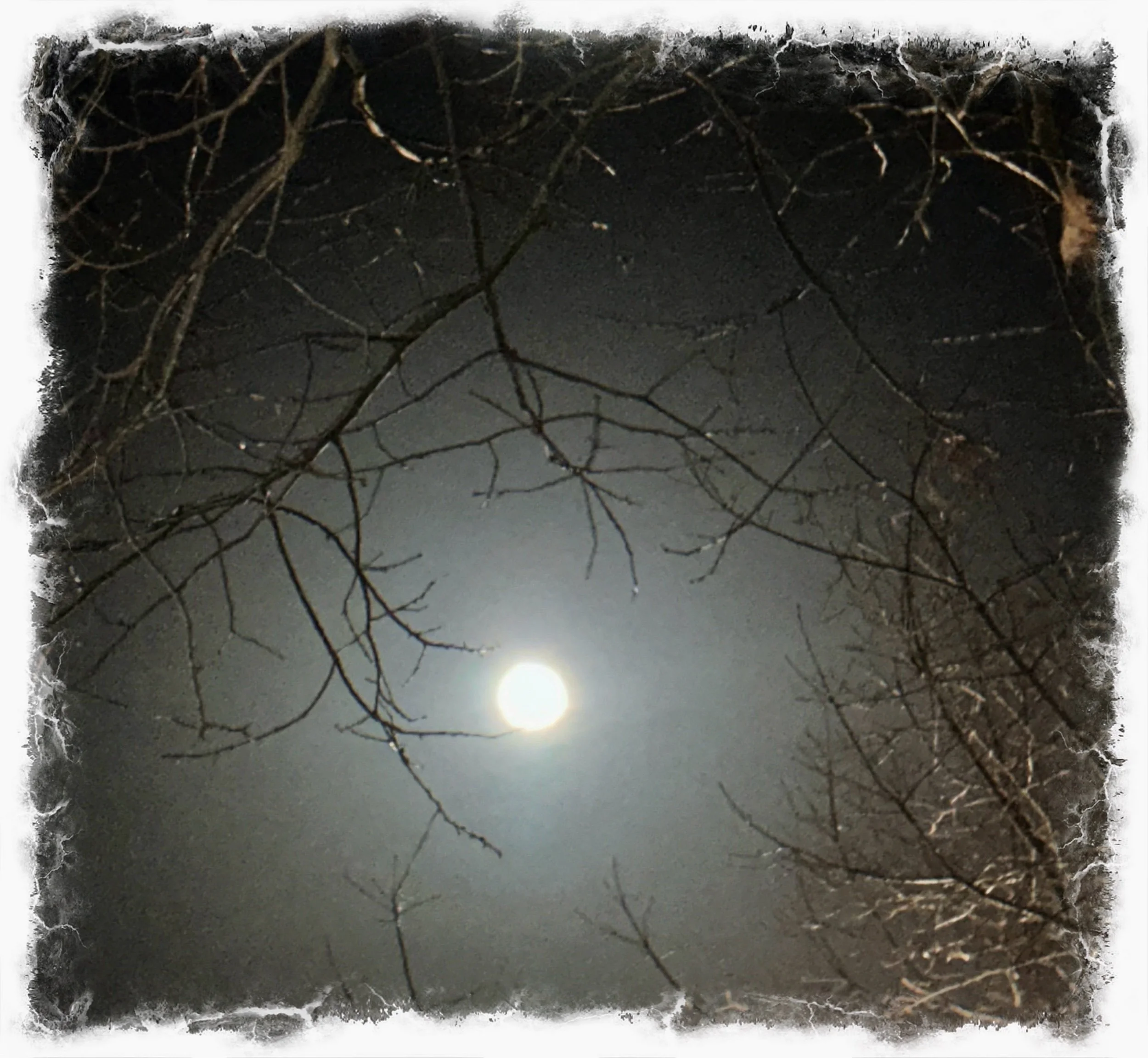 Snow Moon