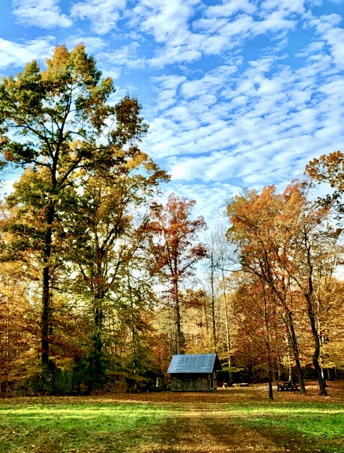 And so it Goes- a poem