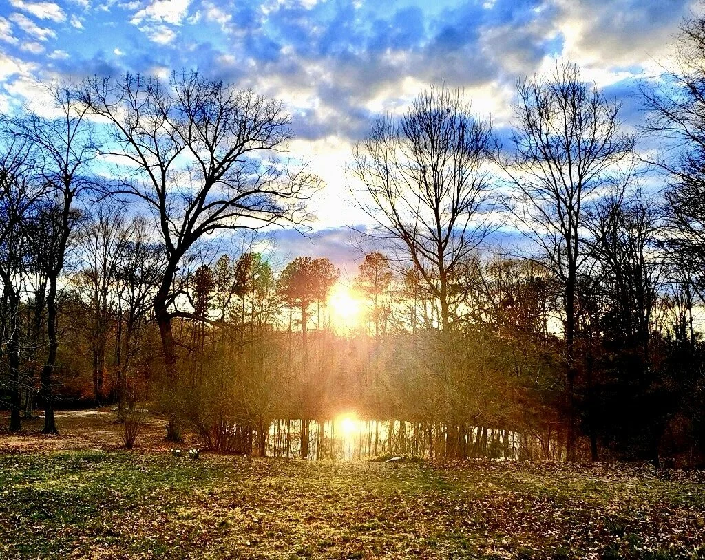 Don’t lose Sight- a poem