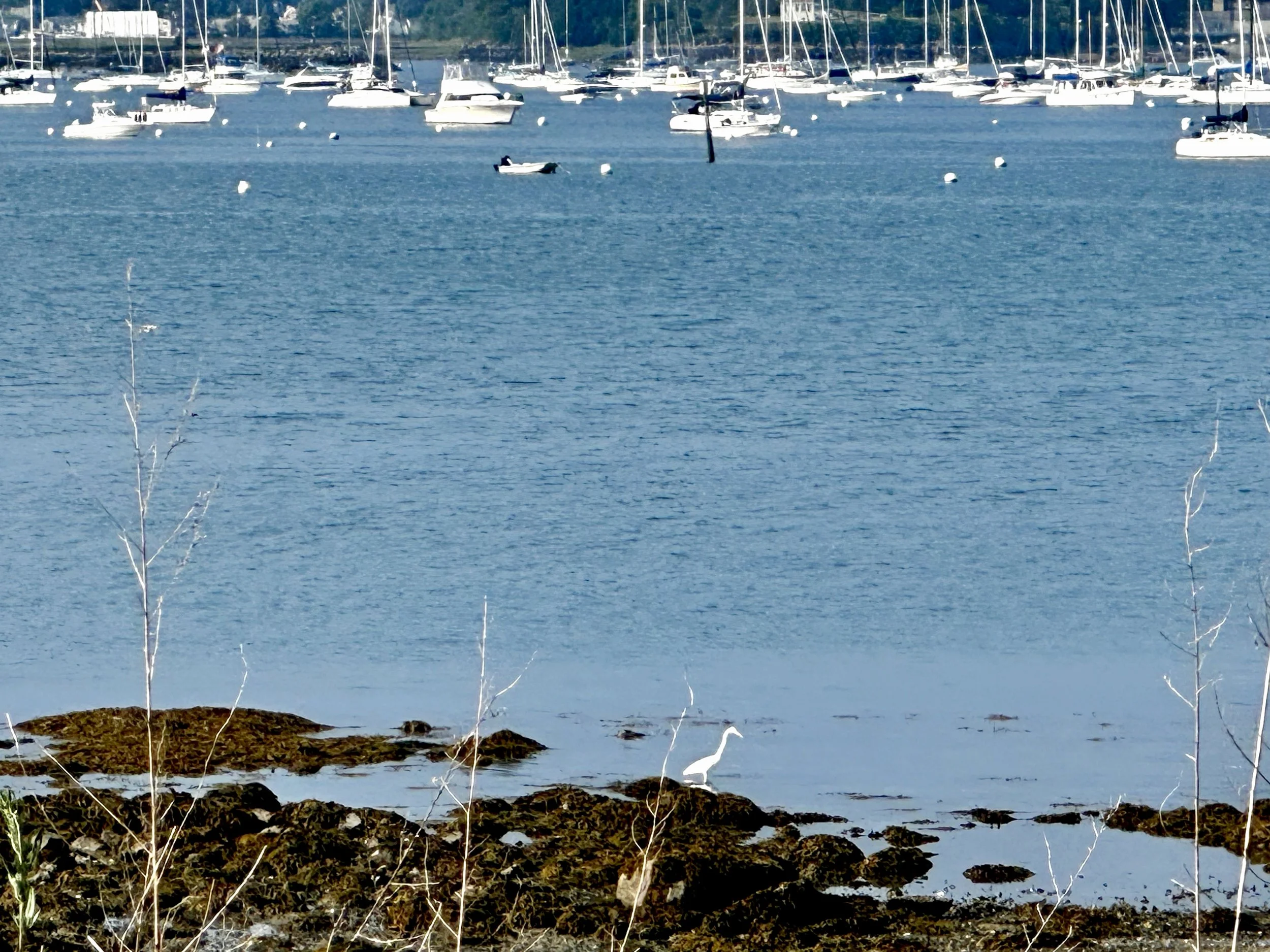 A day in the life of…