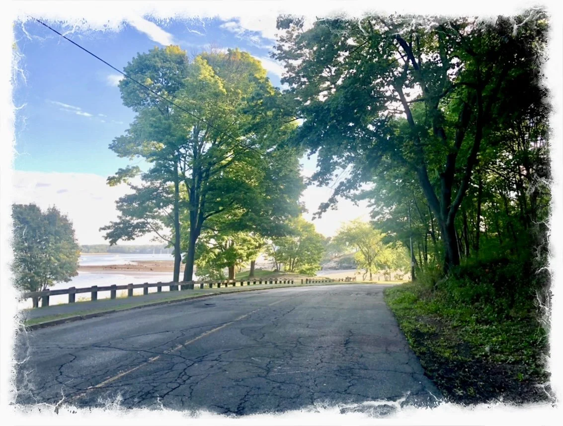 Traveling life’s Road