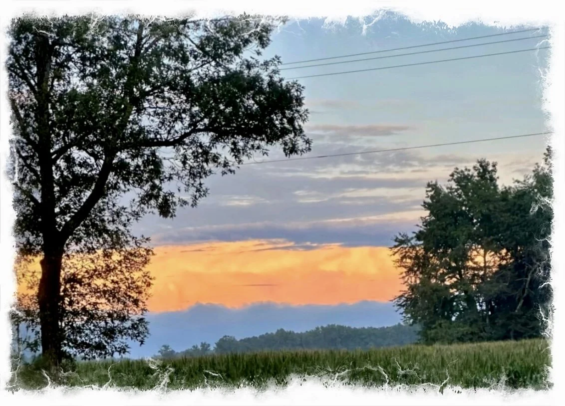 More the Wise- a poem