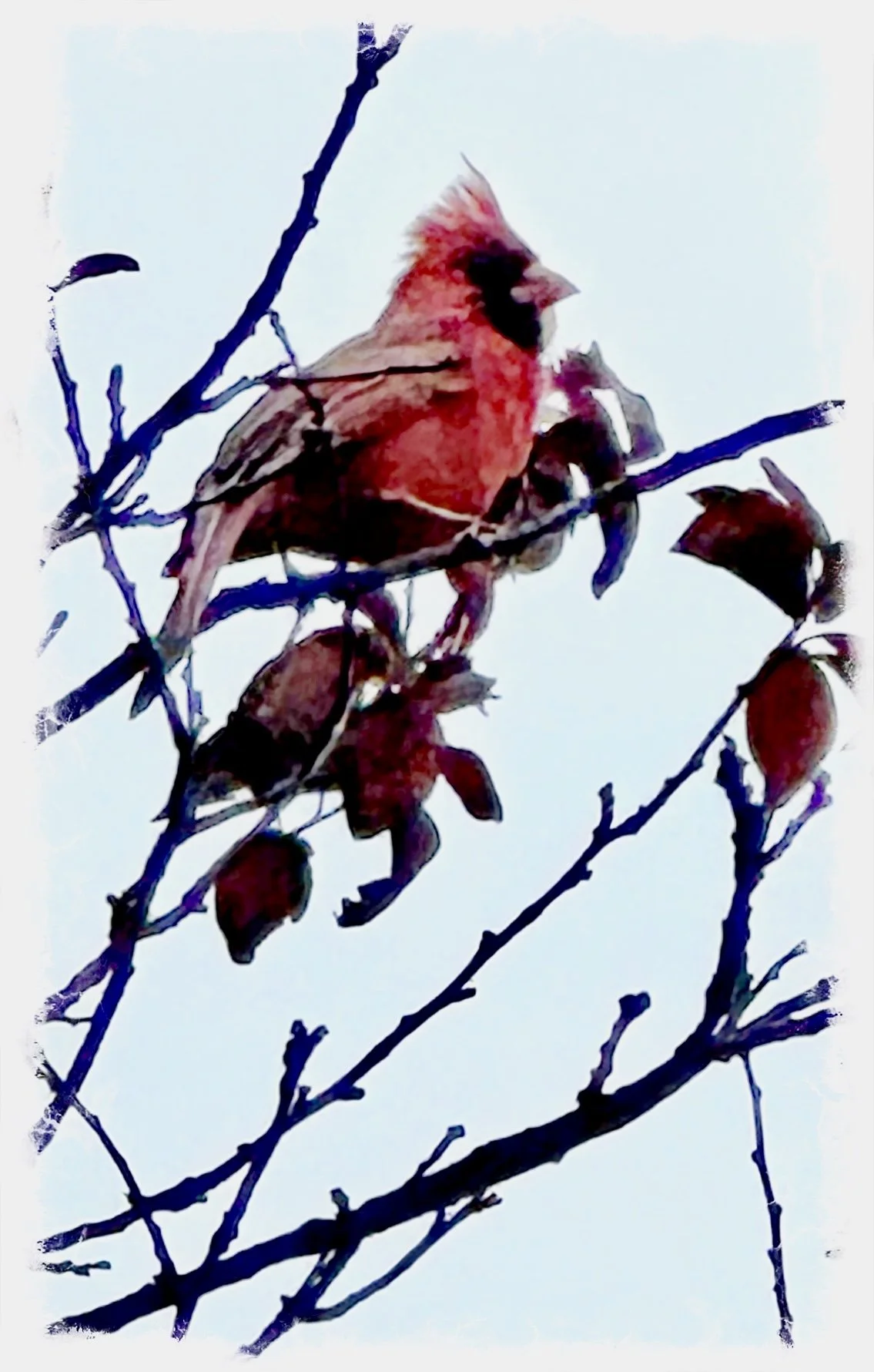 Love Remains- a poem