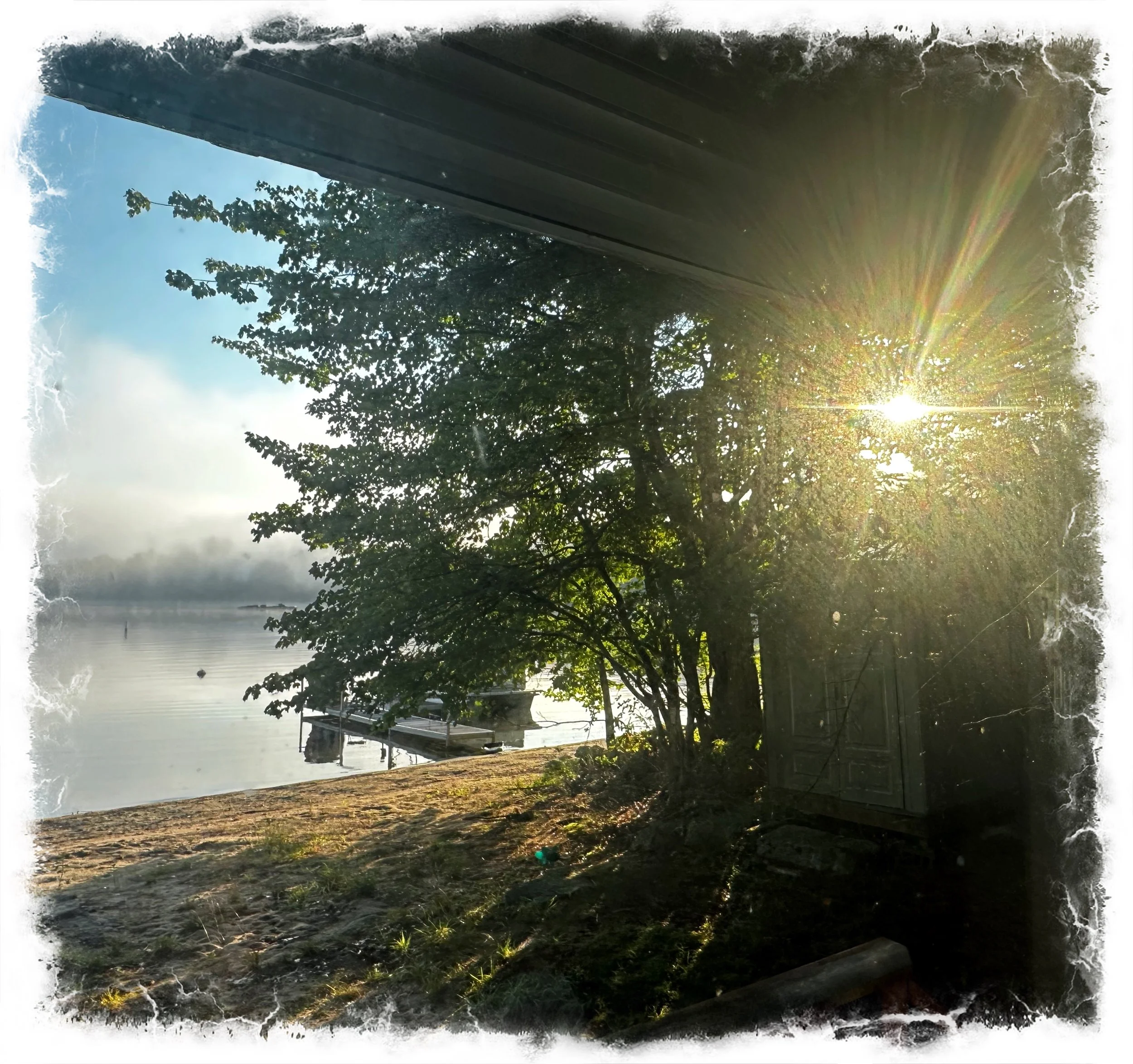 Good morning Sunshine