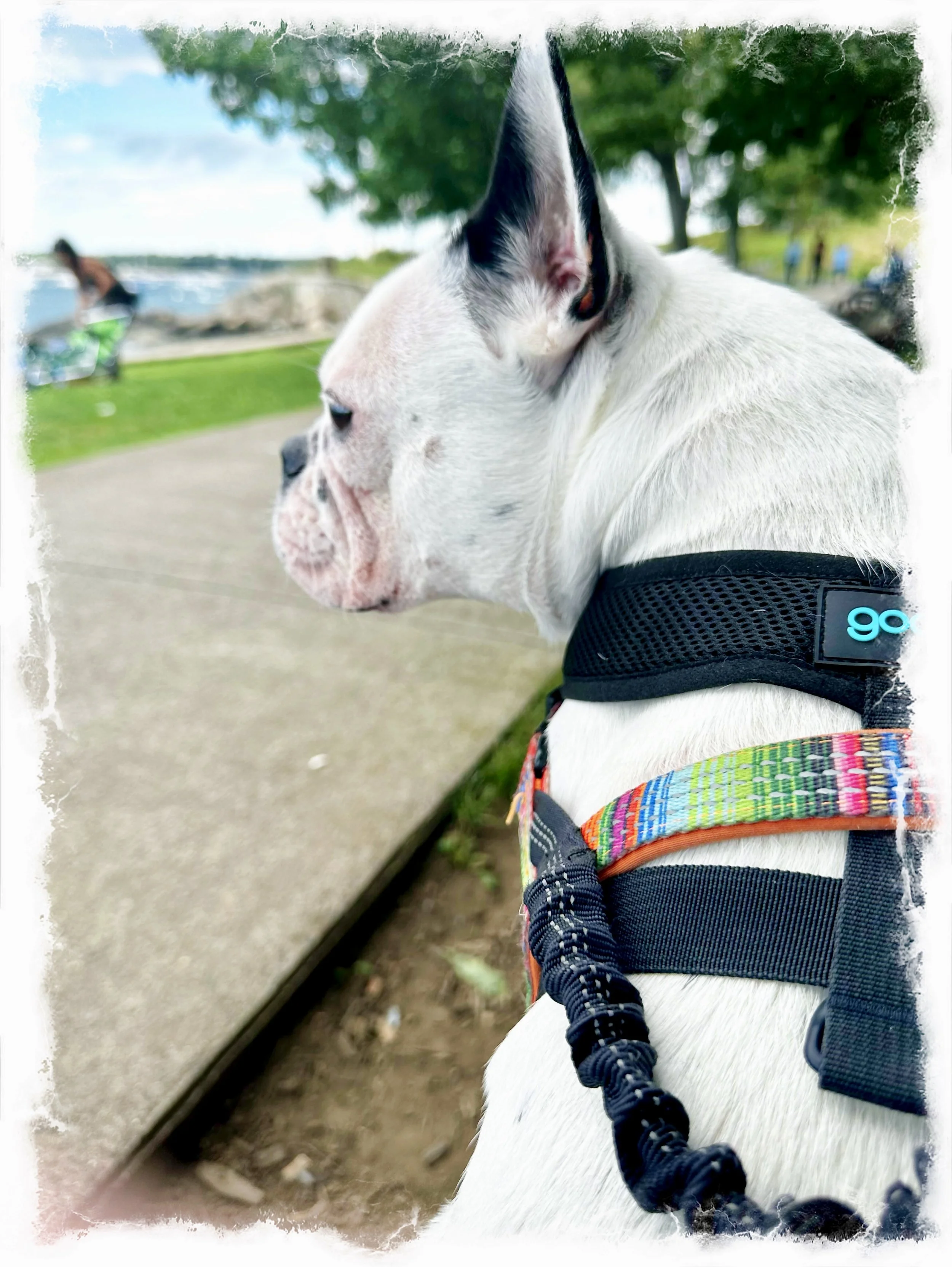 Where are we off to…