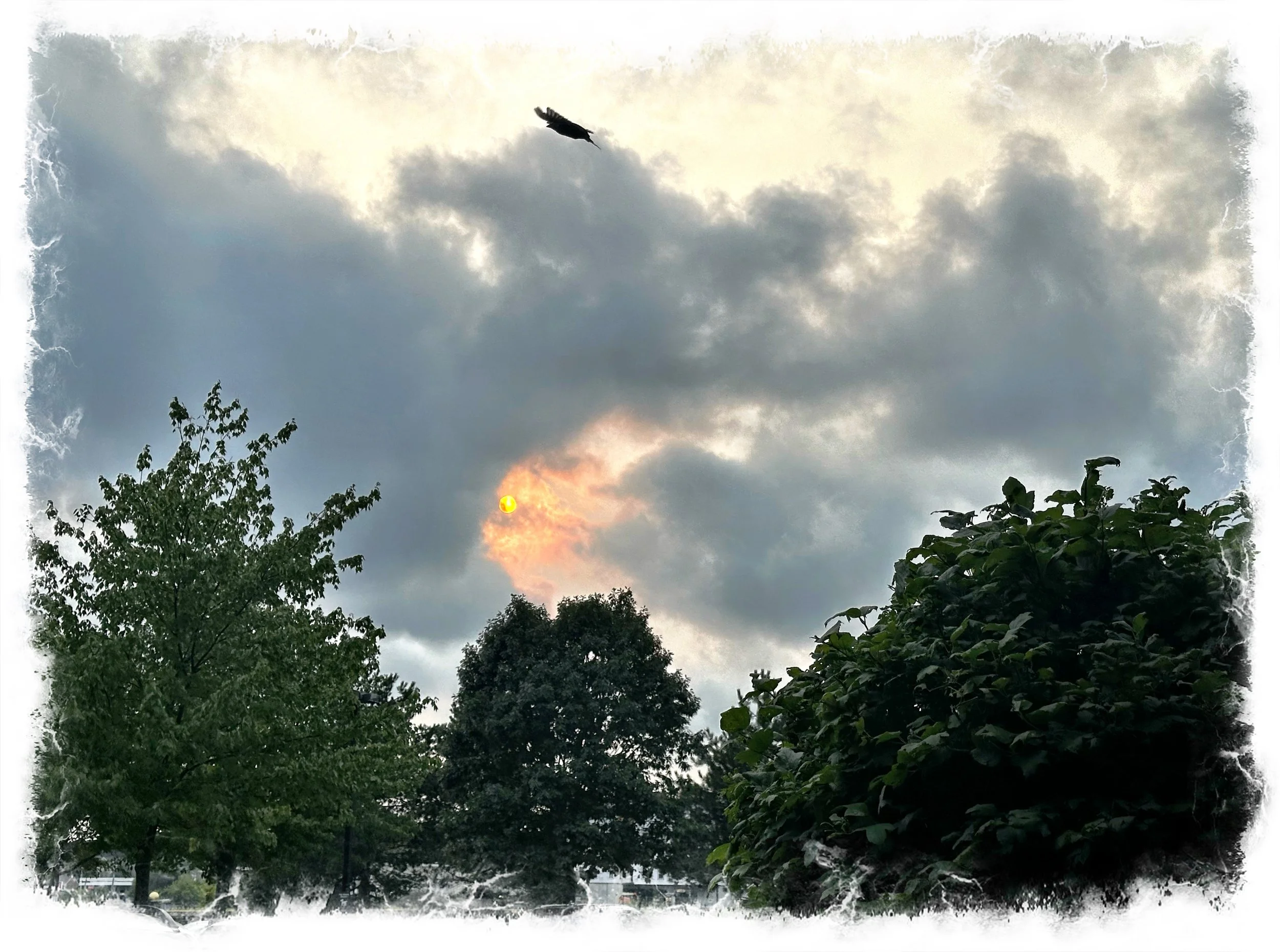 Last night’s sunset