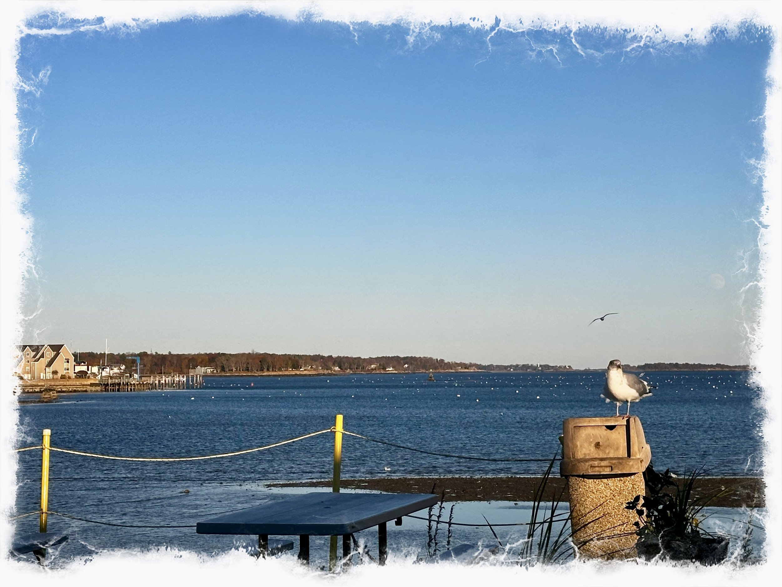 A beautiful November day