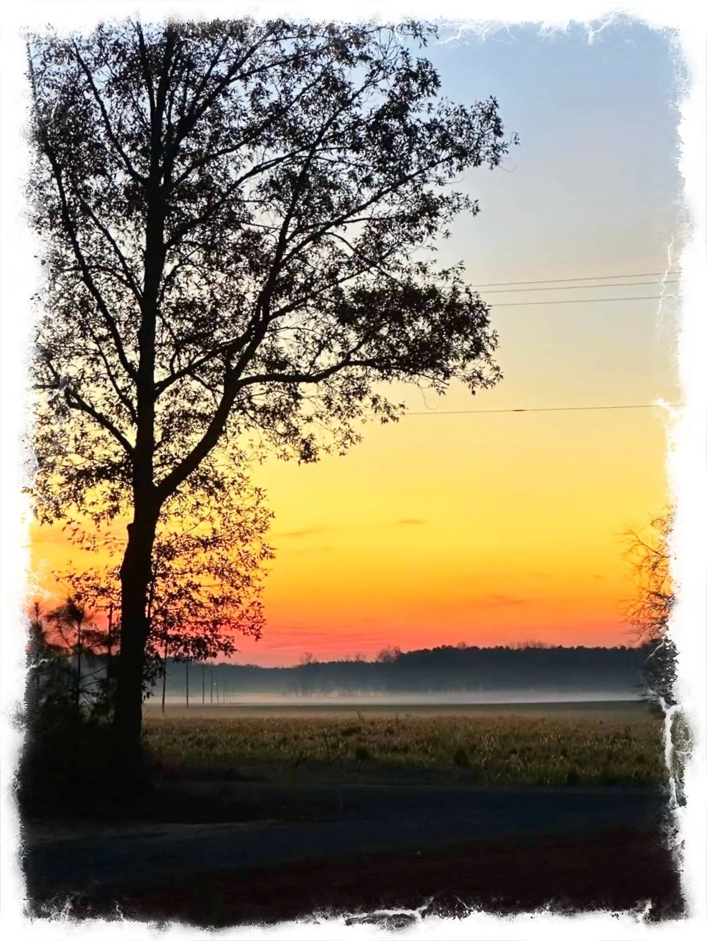 In Life… a thought