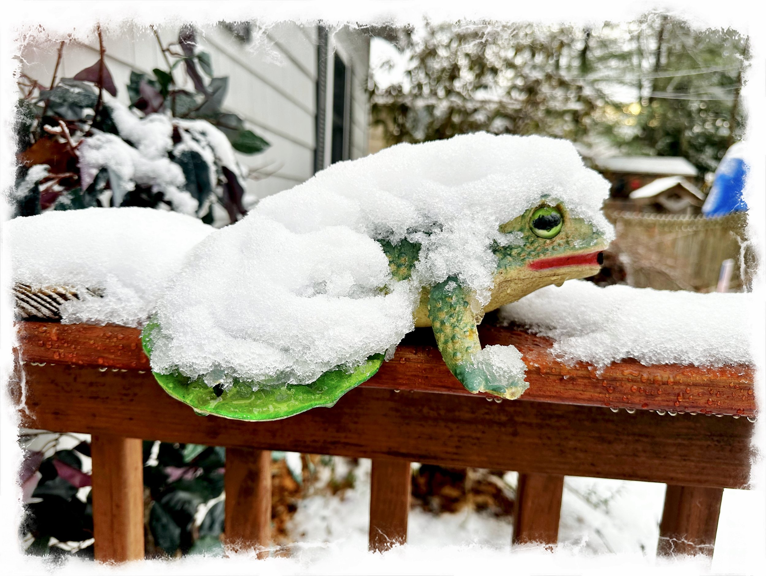 “ I don’t remember