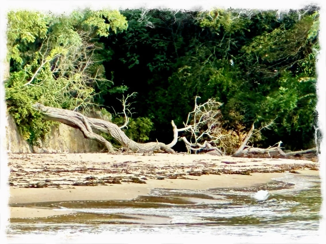 P’u, the Uncarved Block- a poem