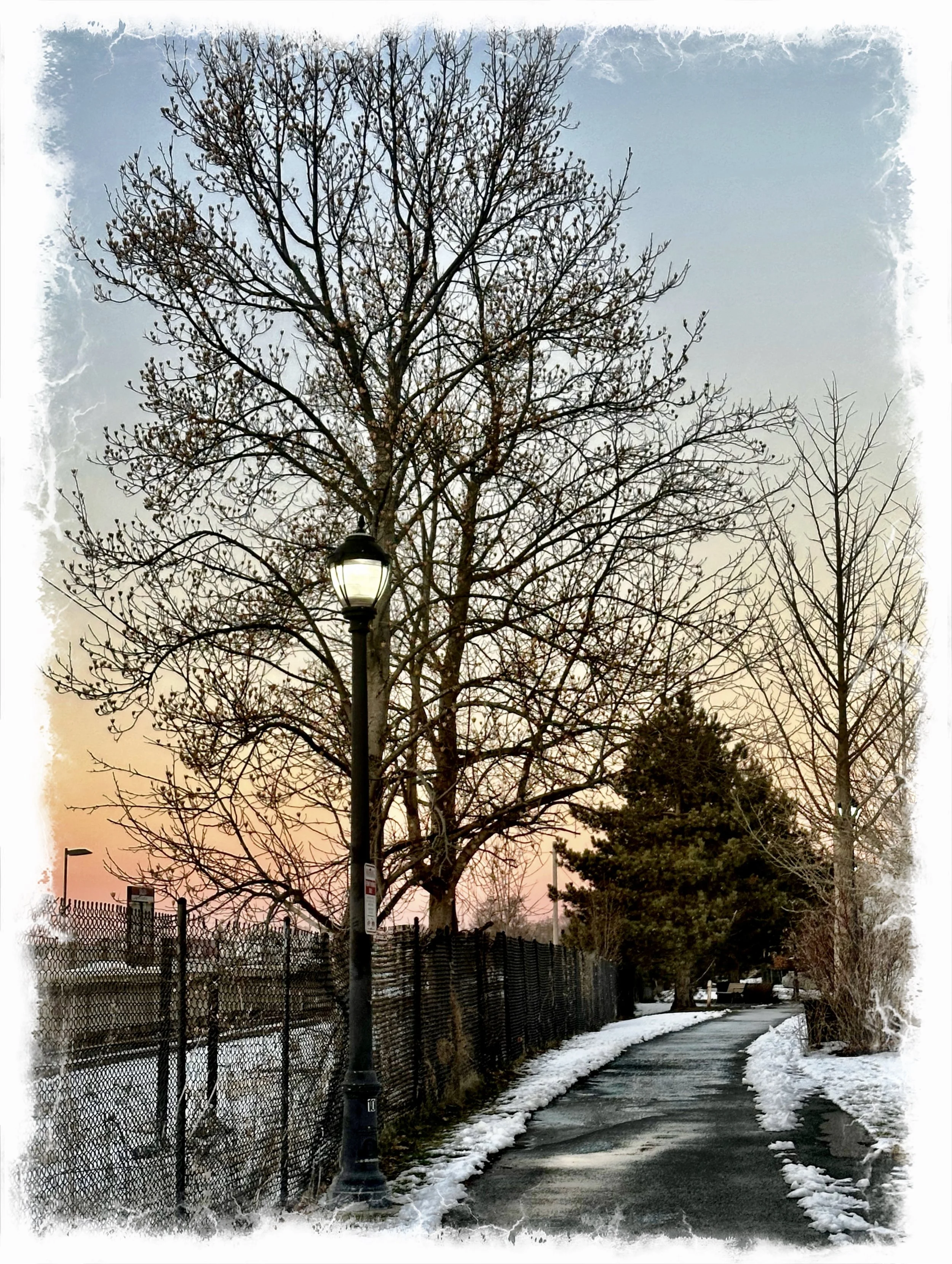 Our walk along the Path- a poem